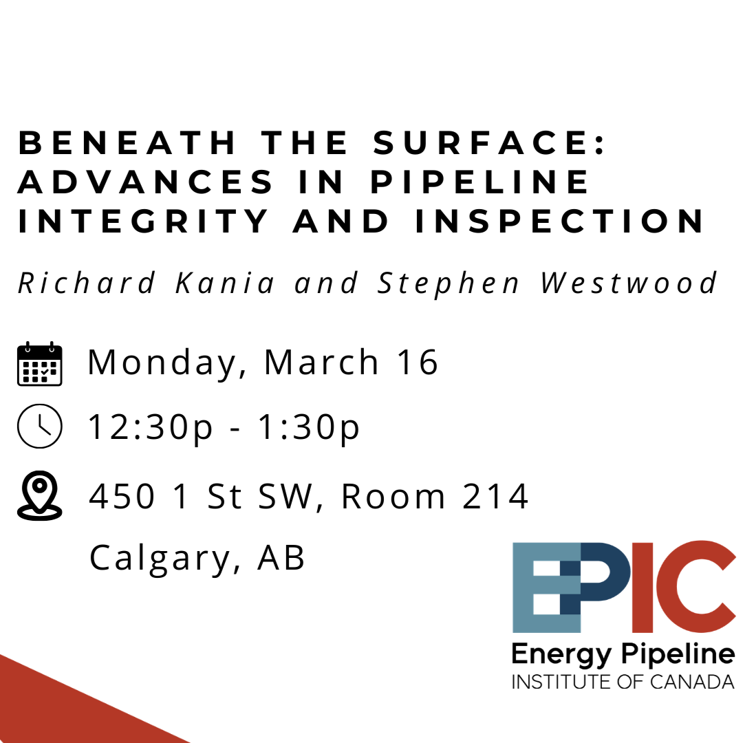 Integrity and Inspections