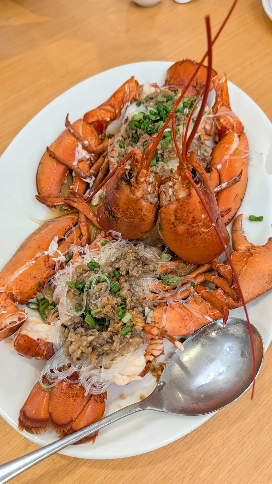 boston lobster