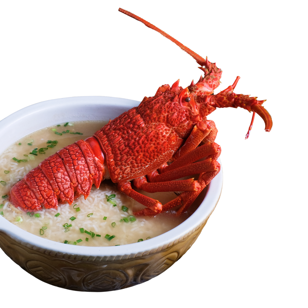 Orchid Live lobster porridge in singapore
