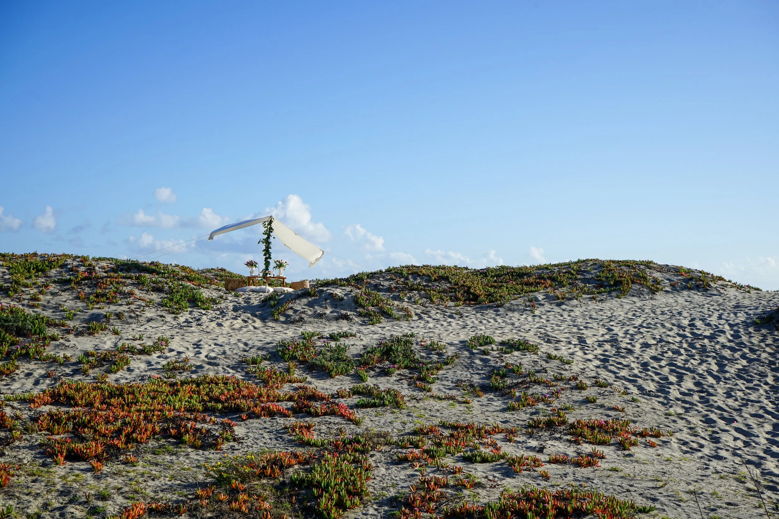 Planning your Coronado Beach Picnic Proposal