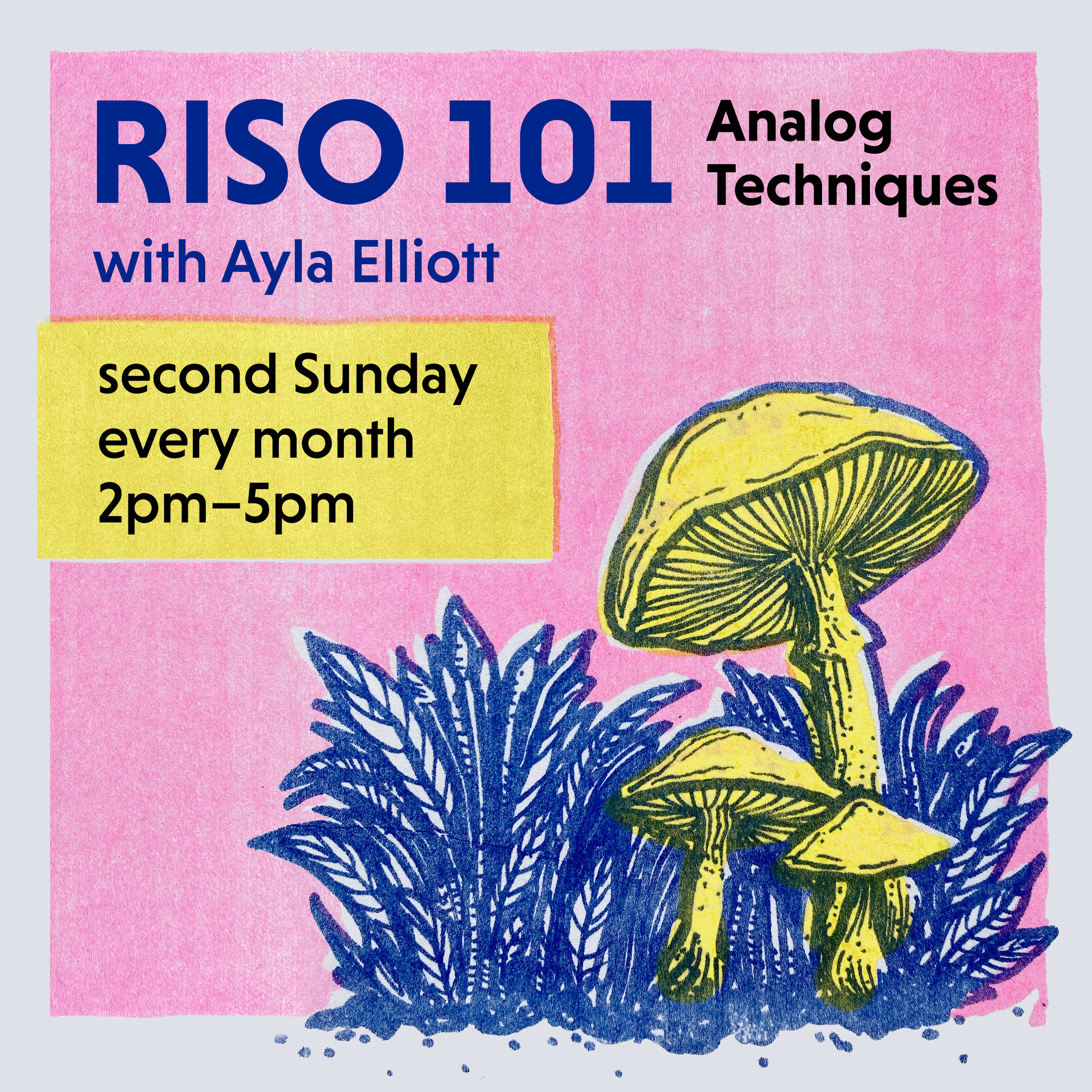 RISO 101: Analog Techniques