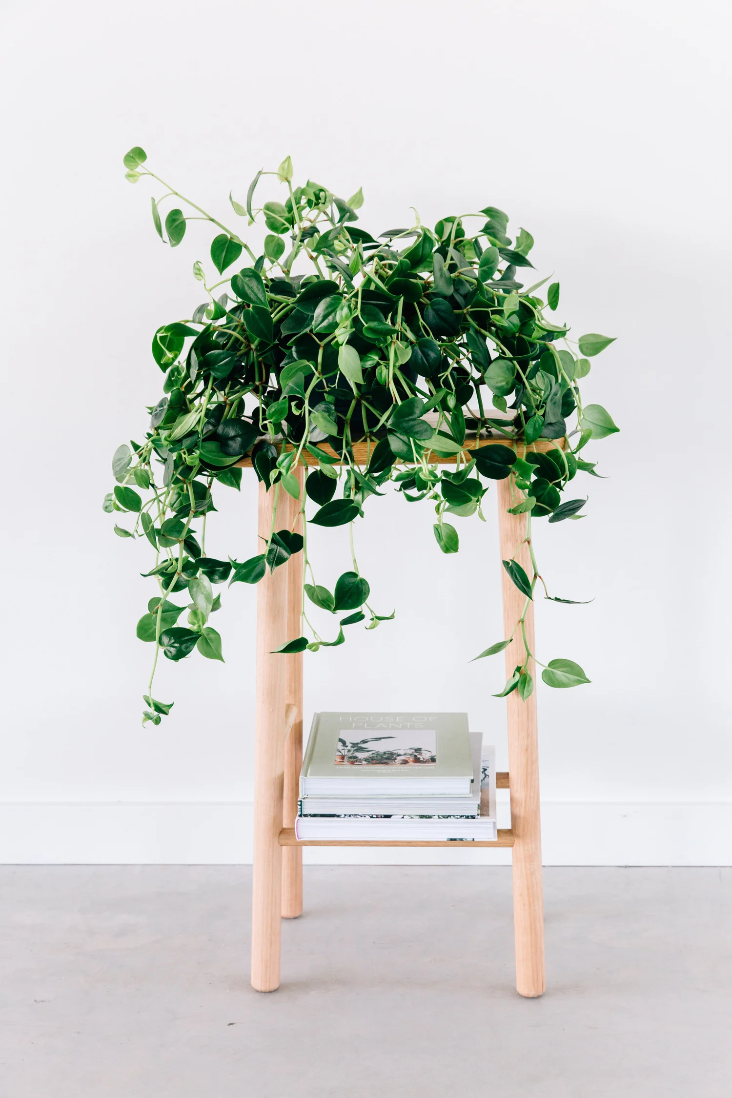 JD Lee Furniture — Hunter & Folk