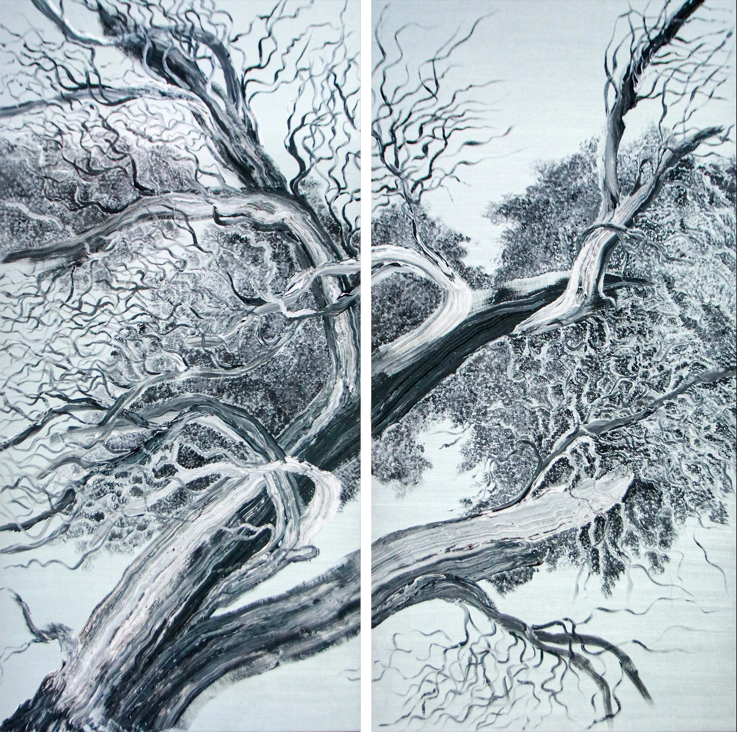 Weathered Tree 4