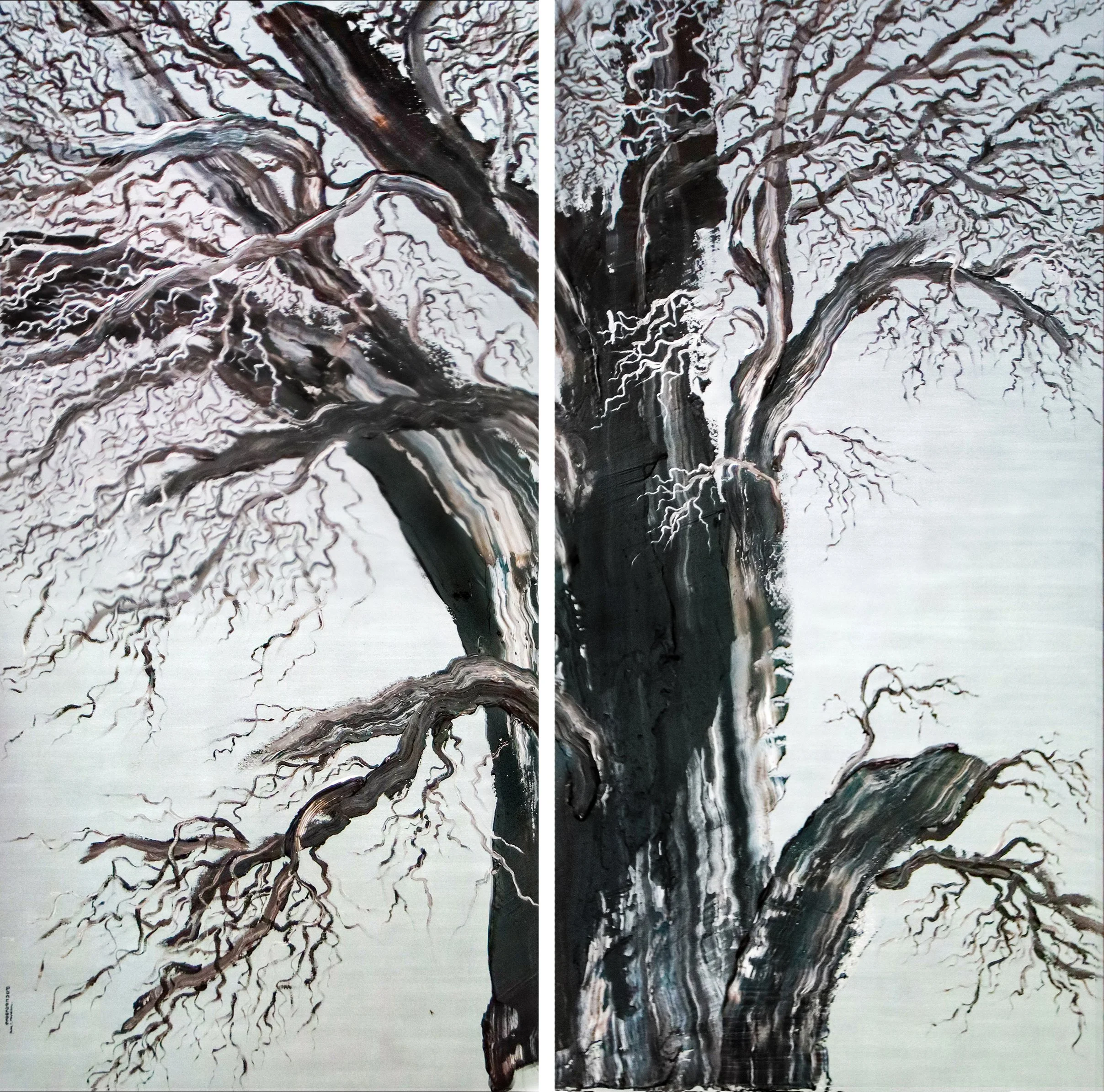 Weathered Tree 5