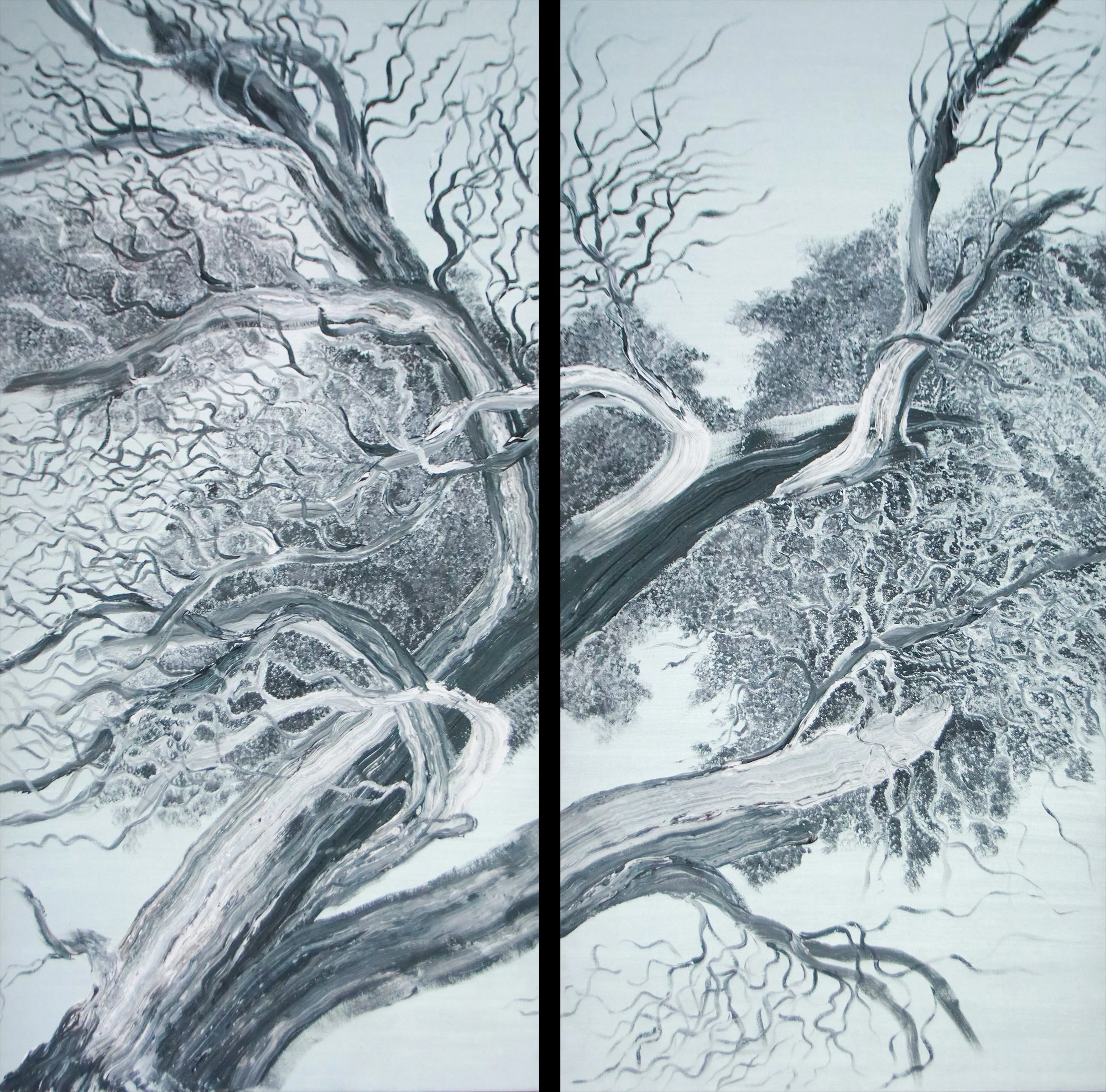 Weathered Tree 4