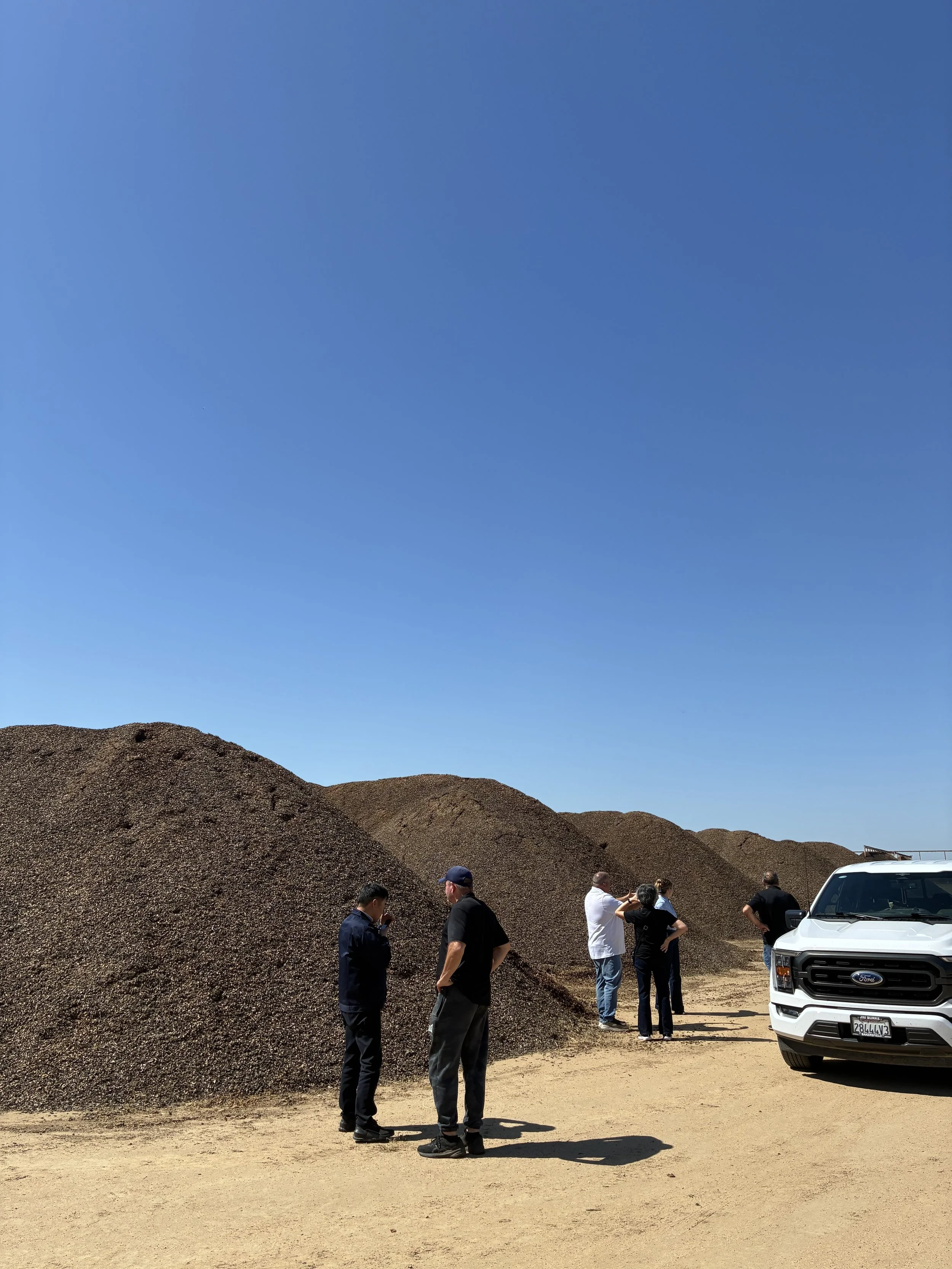 Large piles of almond shells used as agricultural feedstock for biochar production