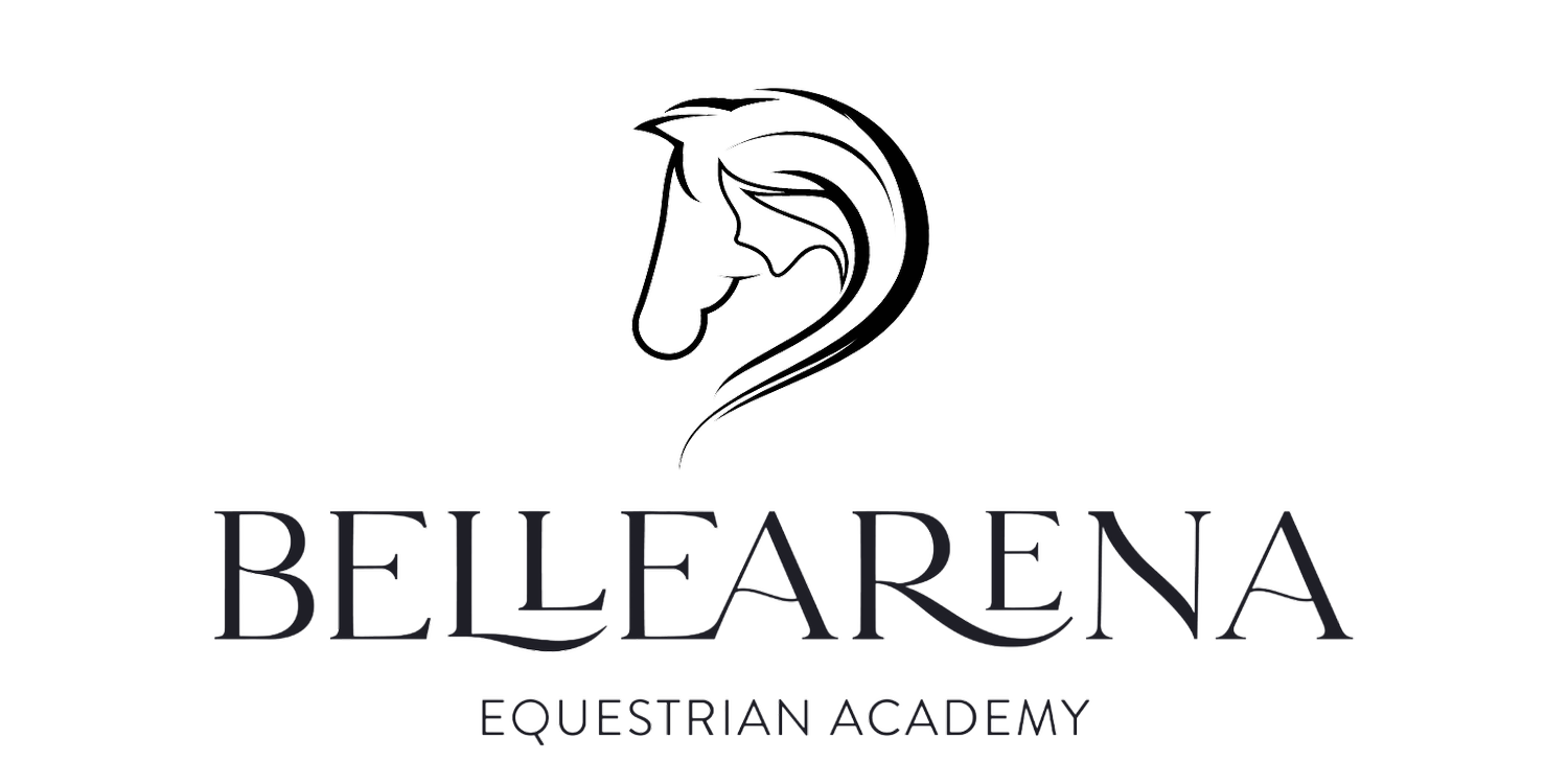 BelleArena Equestrian Academy