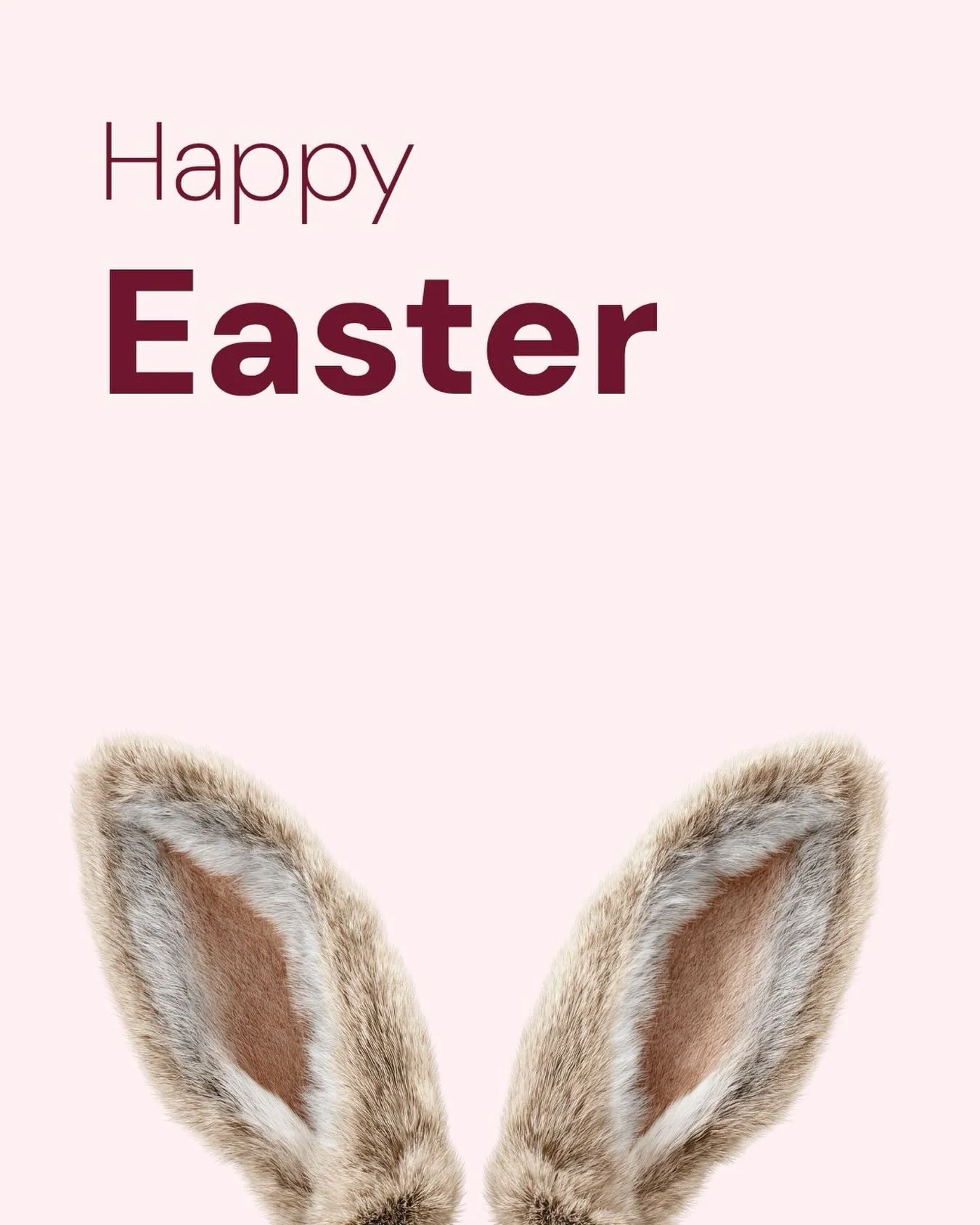 Happy Easter from team RC 🐣 Hope everyone has a safe and fun long weekend 🙌🫶