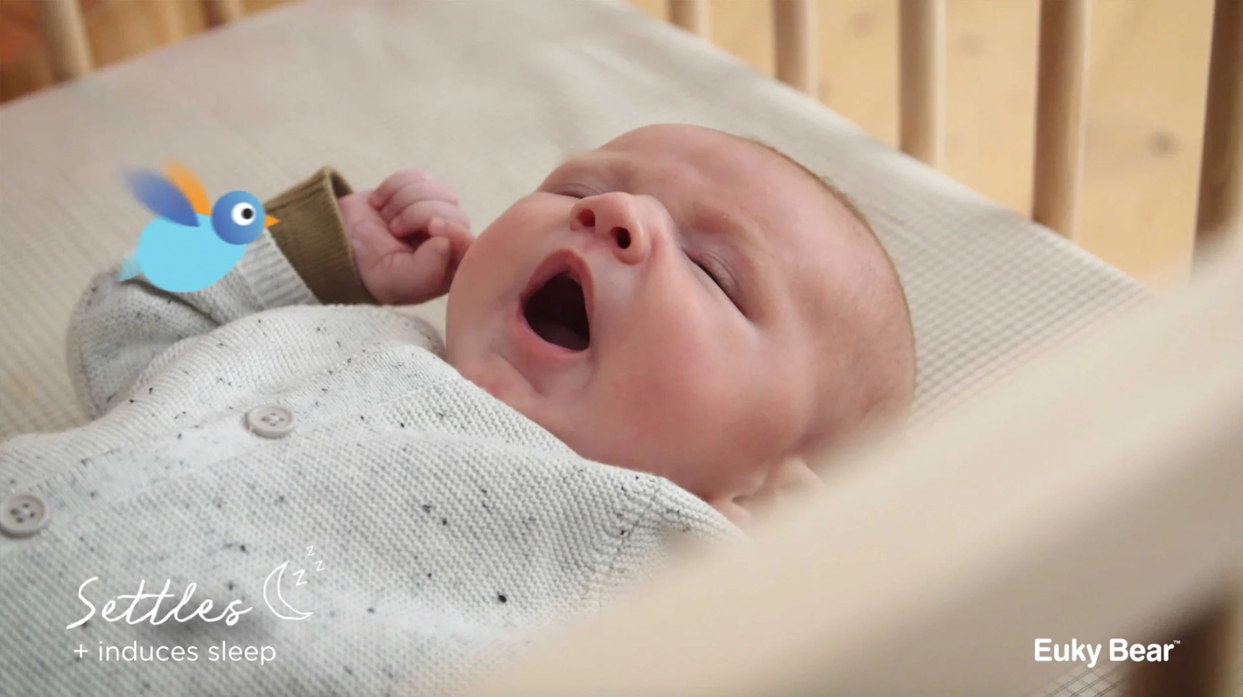 Red Crayon, Advertising Agency, Creative, Marketing Agency, Melbourne, FGB Natural Products, Euky Bear Sleep Aid, Advertising, Campaign Creative, Copywriting & Production