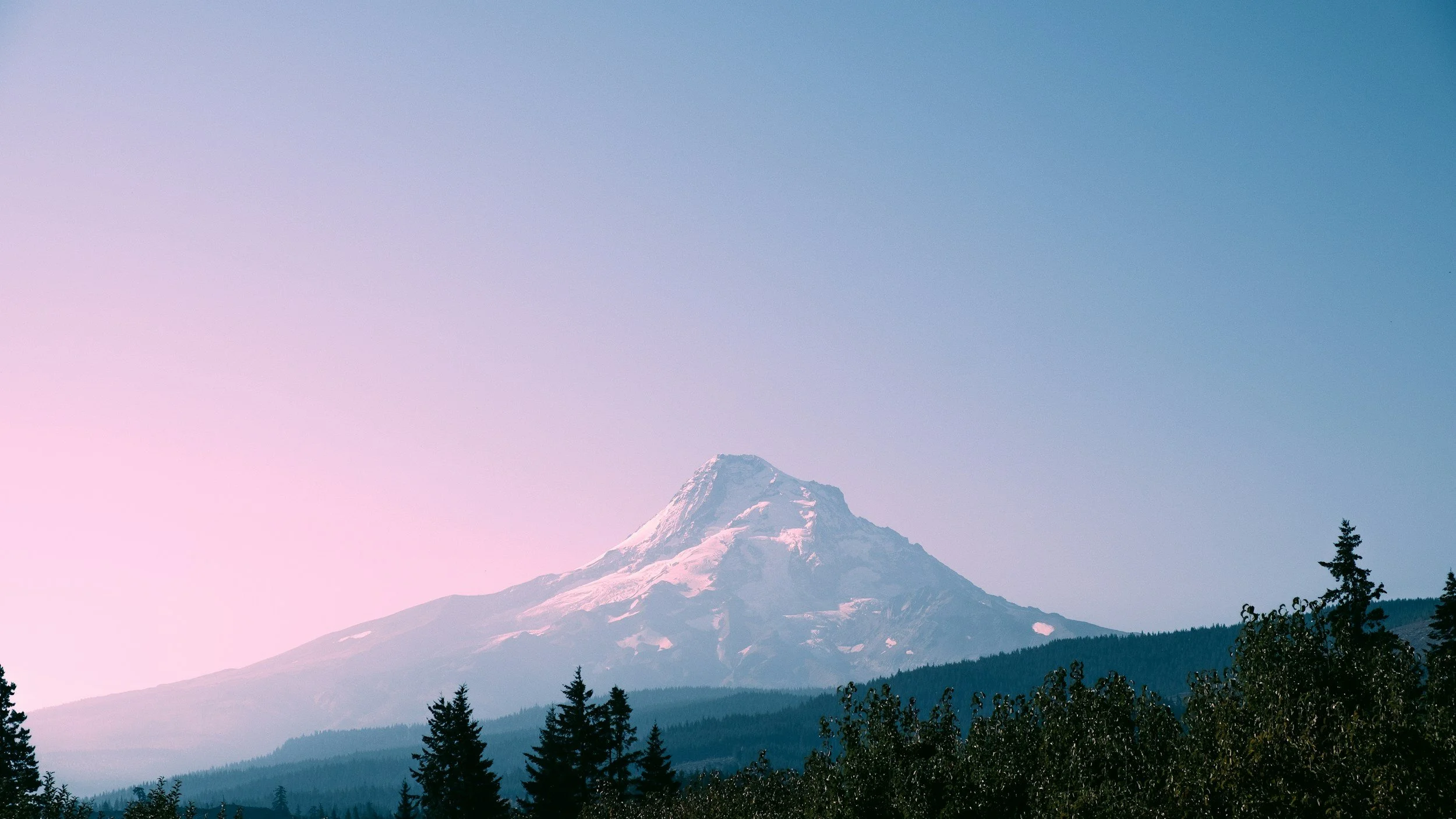 Snow-capped mountain with a forested foreground and a clear sky.