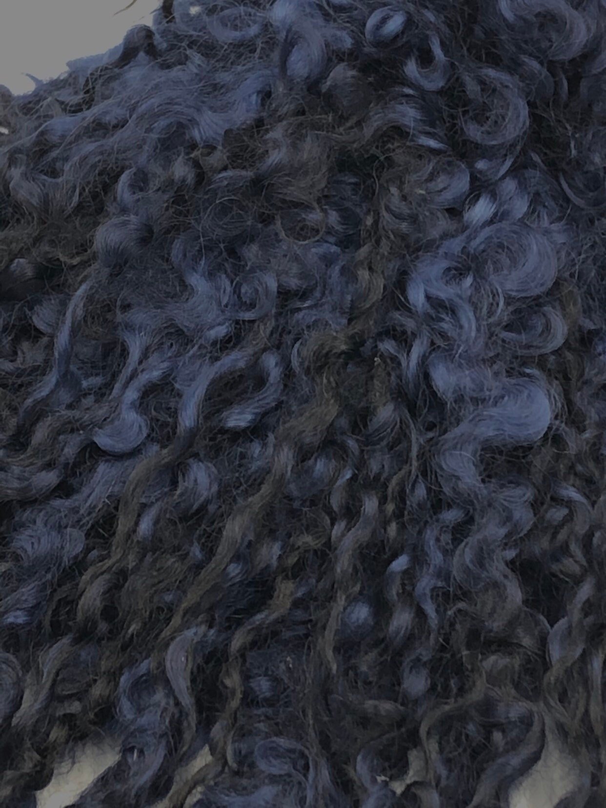 https://i.etsystatic.com/14881840/r/il/e273c0/1879072453/il_fullxfull.1879072453_npfg.jpg