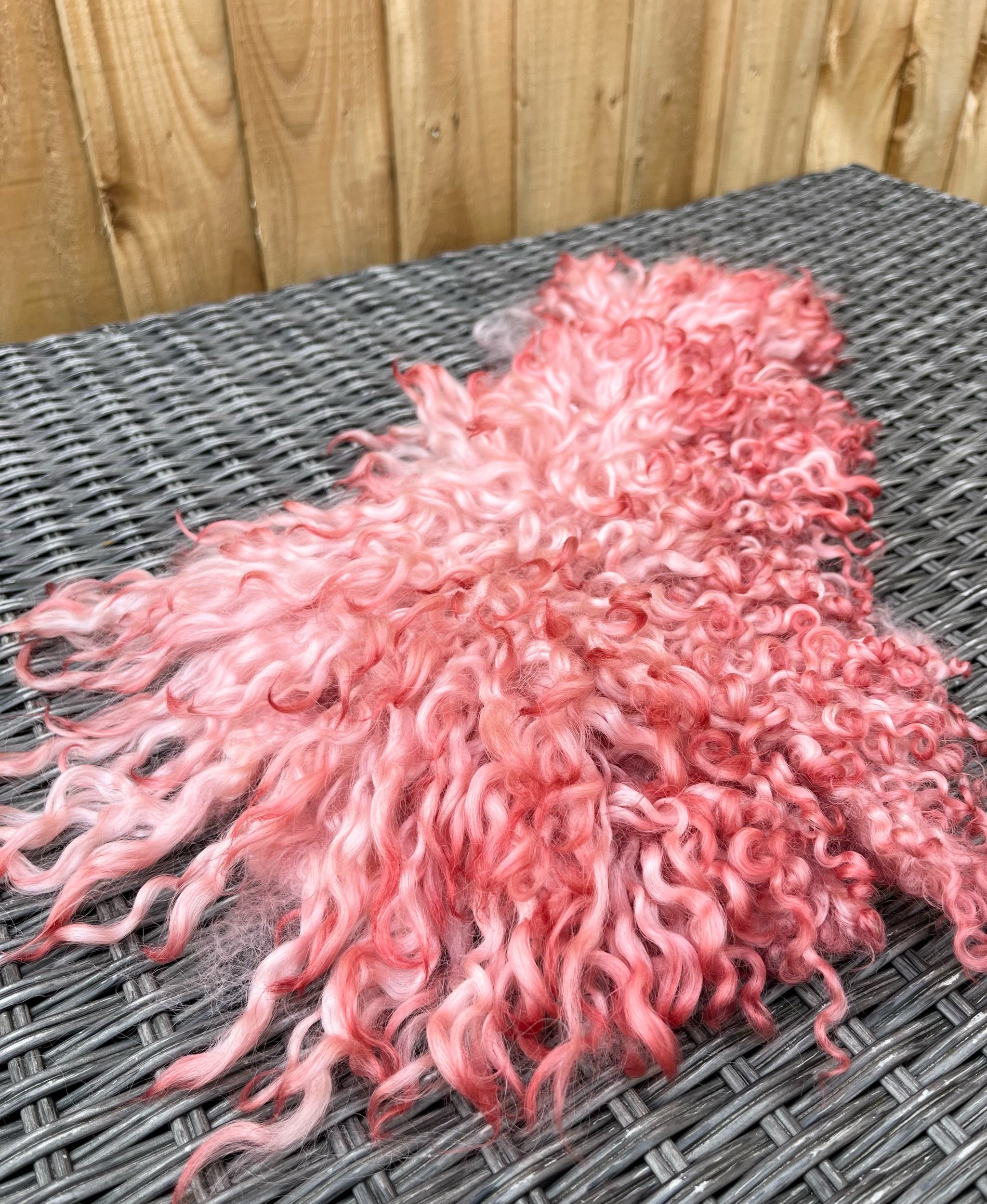 436B9C6C-4DC1-4C52-A913-88239108C631.jpeg