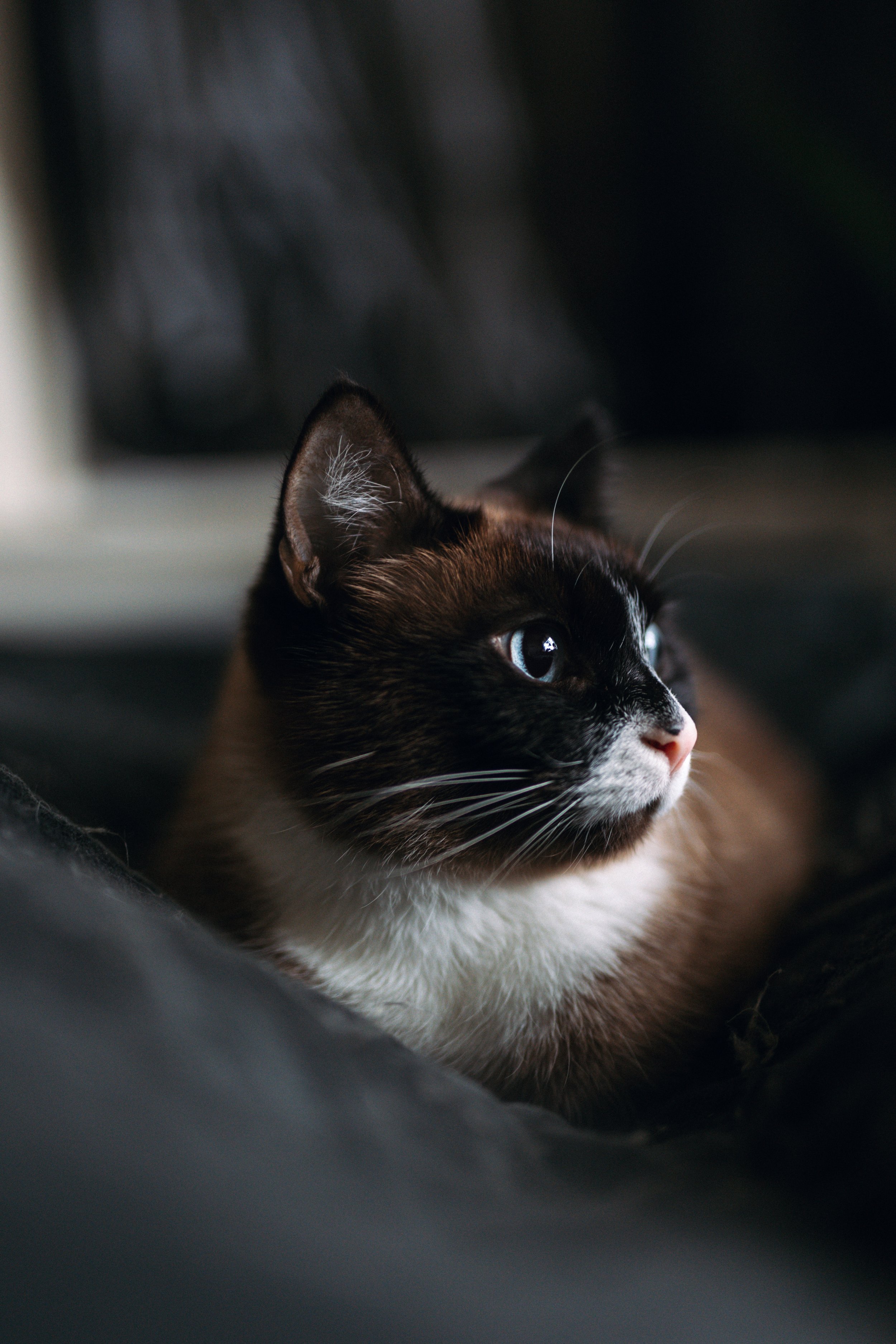 338A6153.jpg