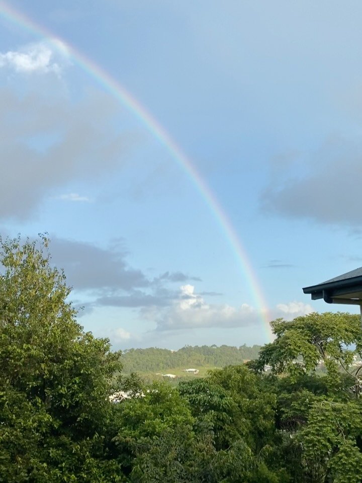 This year so far&hellip;

Just a little photo dump! 

Lots of theatre, directing, acting, producing, shows, recovering from this pinched nerve, nature, music, a little sound recording&hellip;

And a lot of time to reflect and heal and cry and surrend