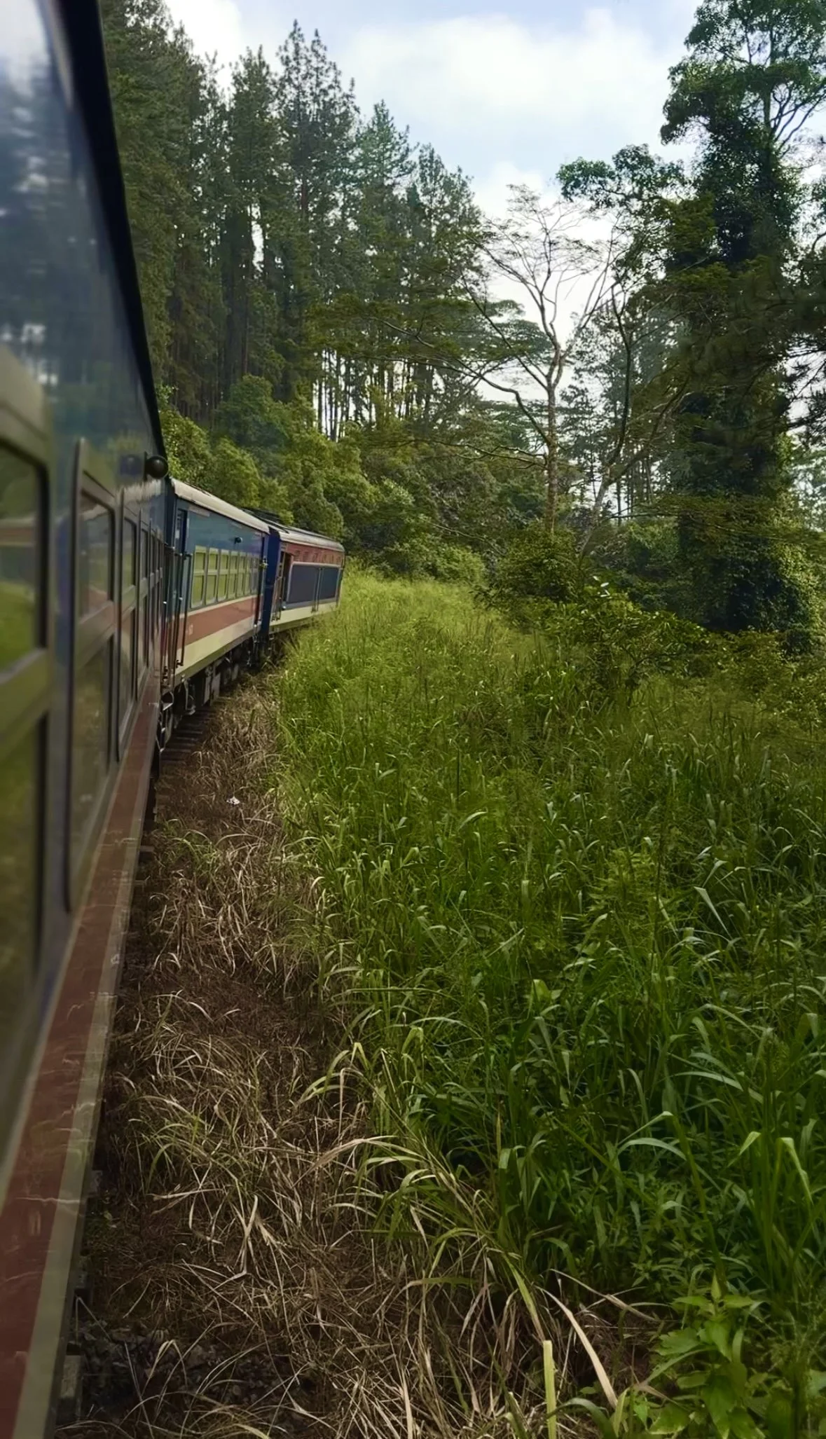 The famous Colombo - Ella train journey