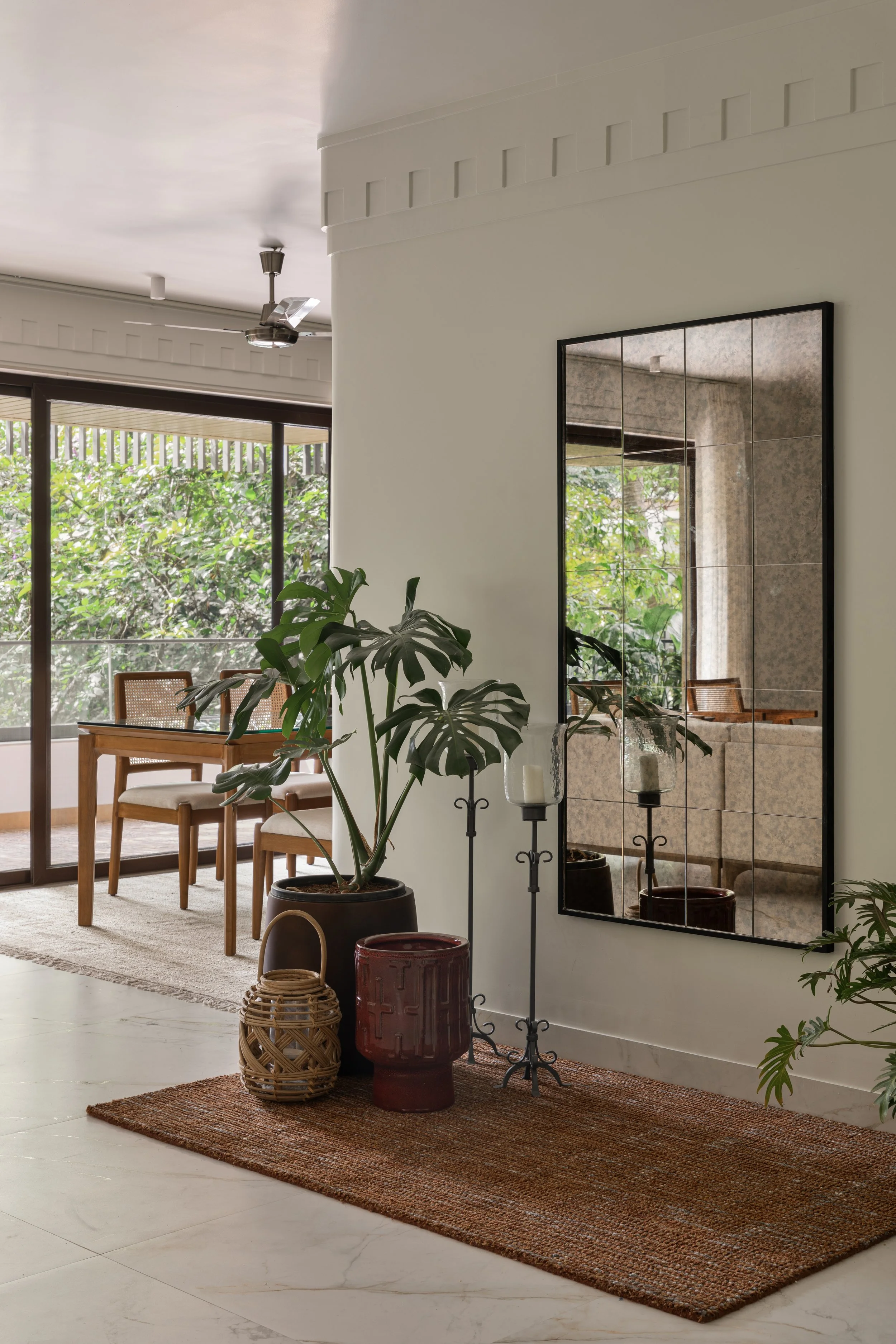 Panthera | A Mexican Daydream