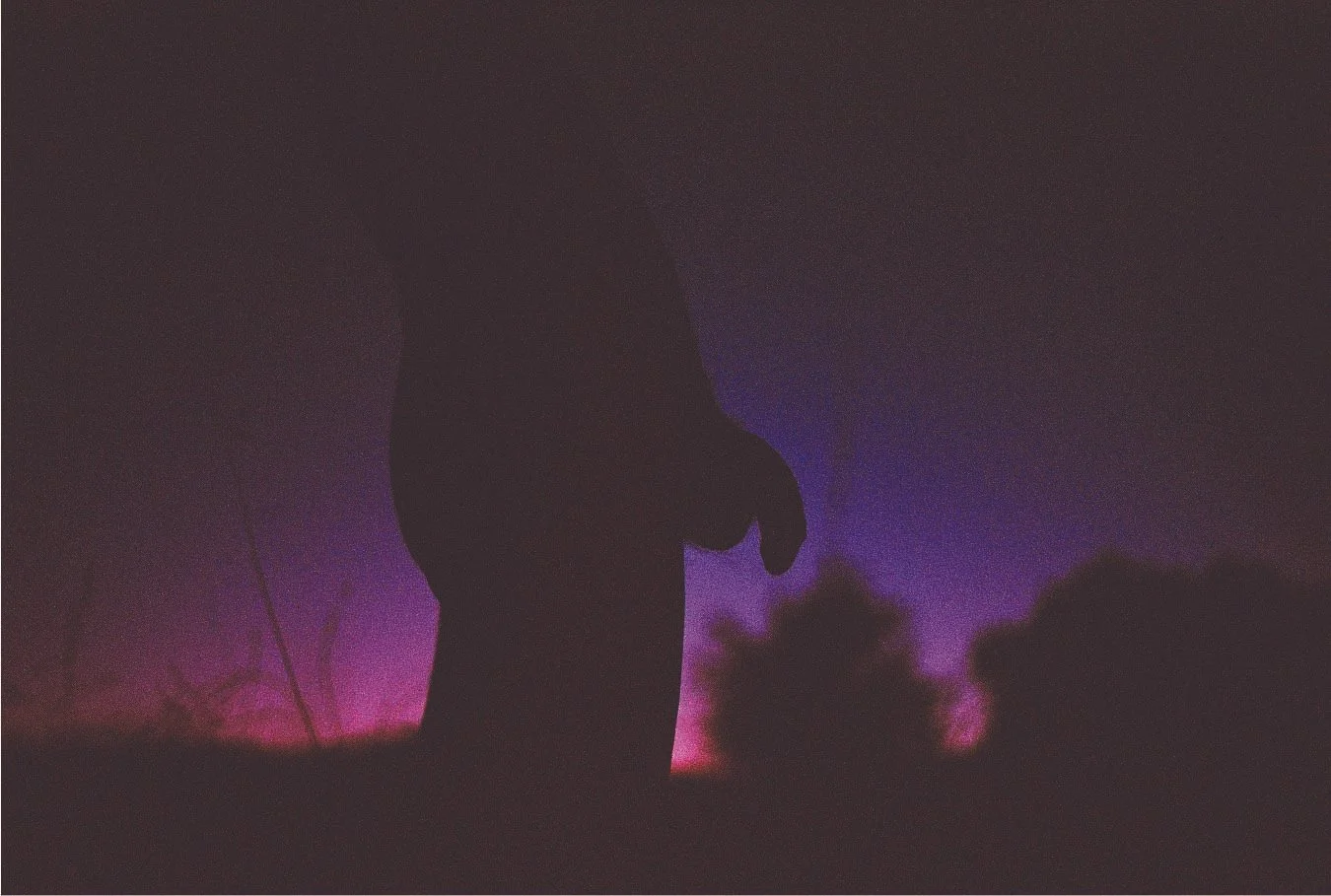Silhouettes at Dusk ©  Dylan Michaels.jpg