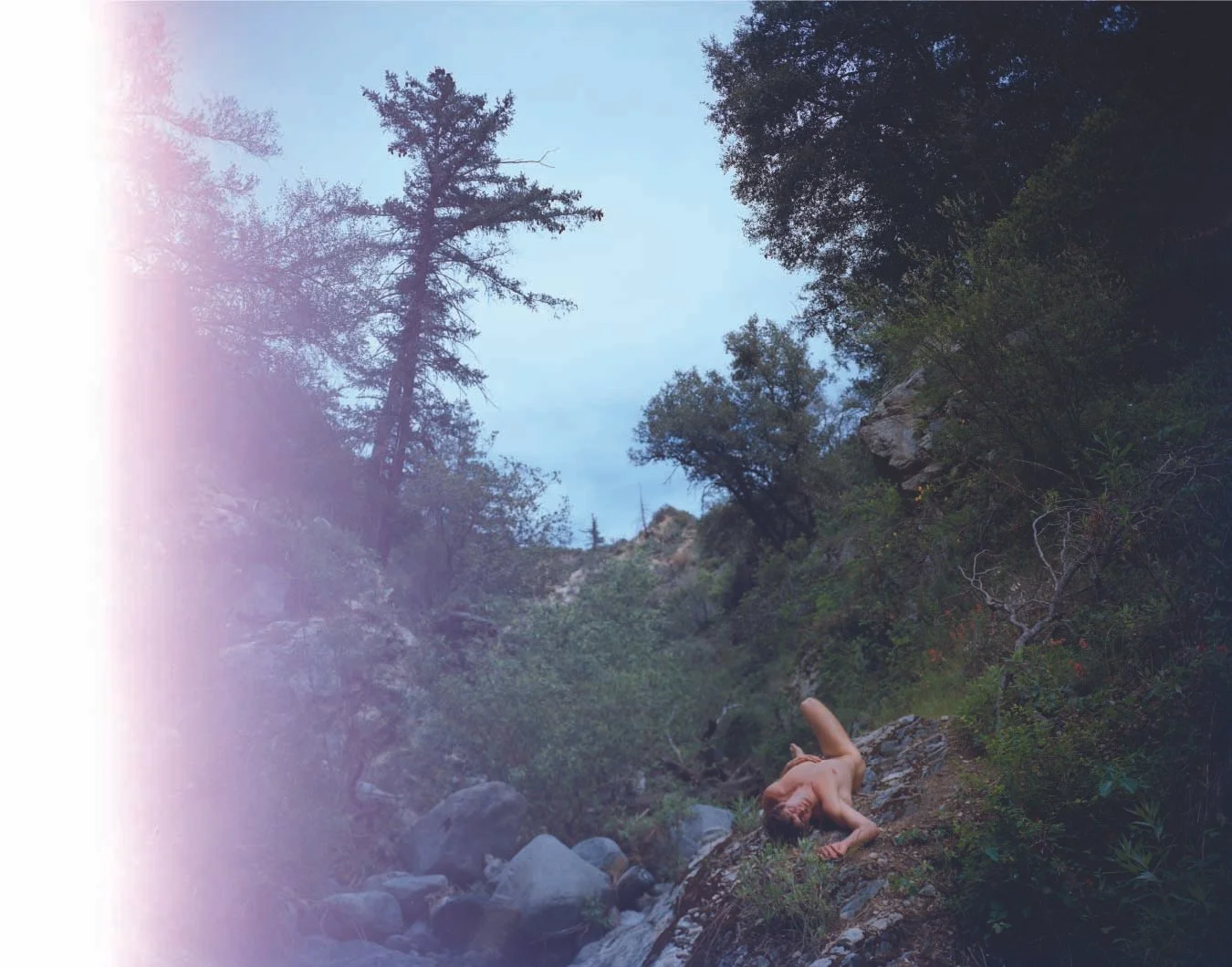 Sudden Light ©  Dylan Michaels.jpg