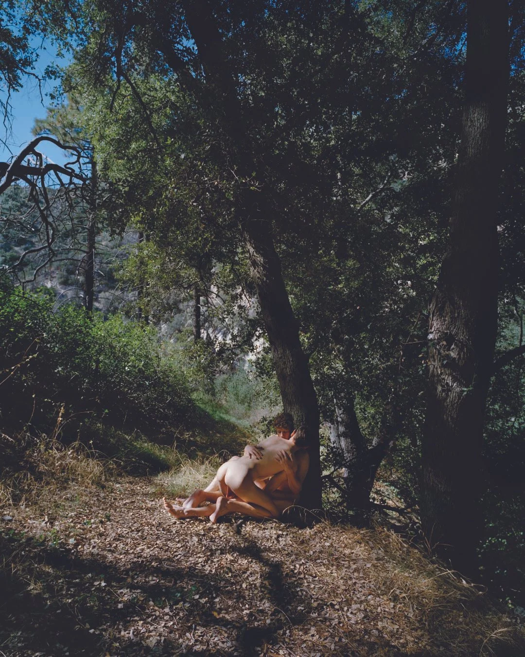 Sanctuary  ©  Dylan Michaels.jpg