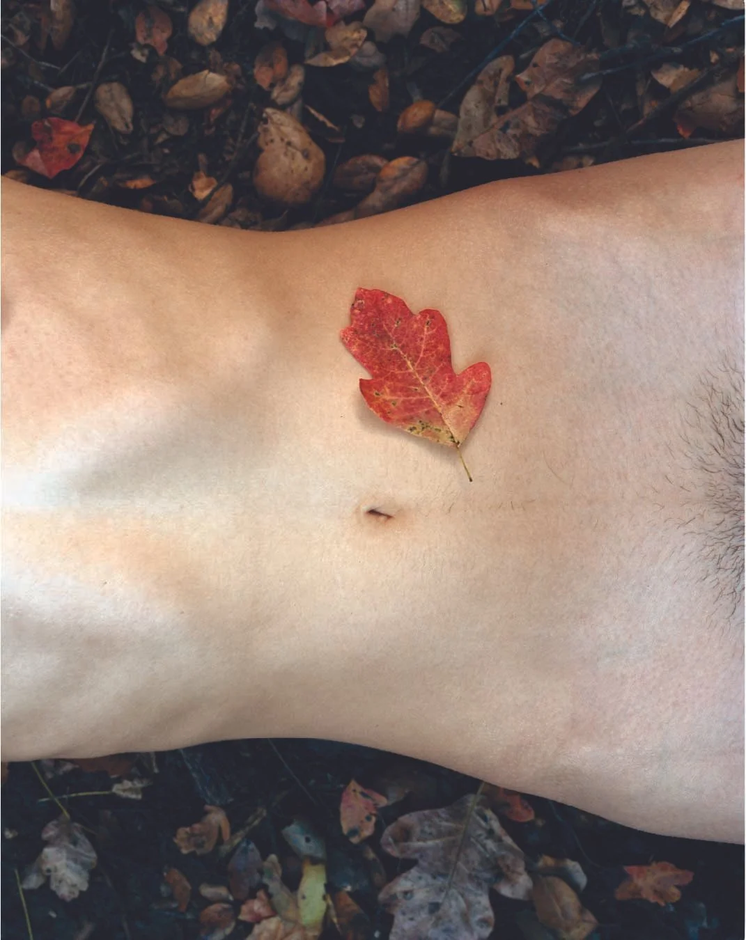 Portrait with Leaf ©  Dylan Michaels.jpg