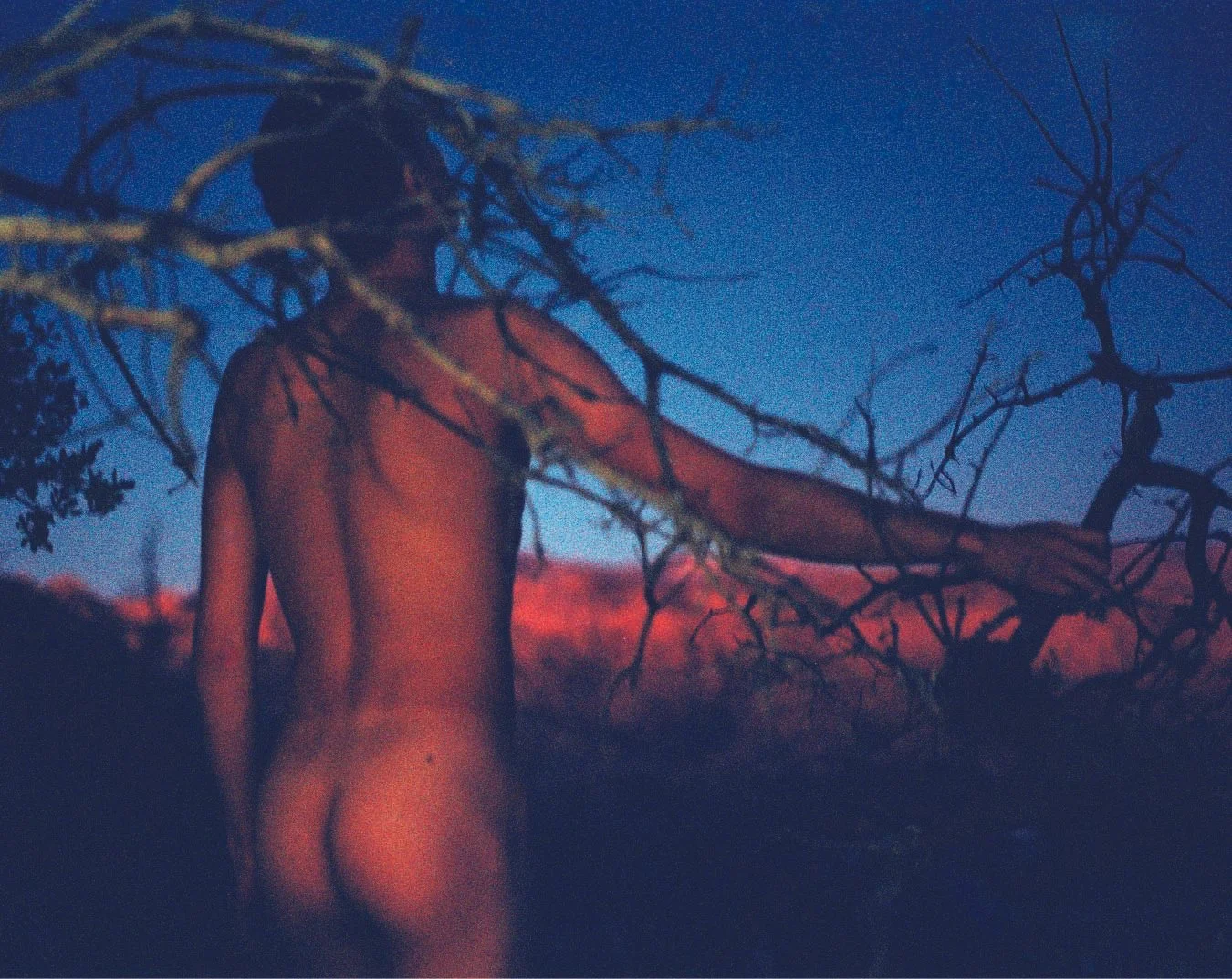 Moonset 540  ©  Dylan Michaels.jpg