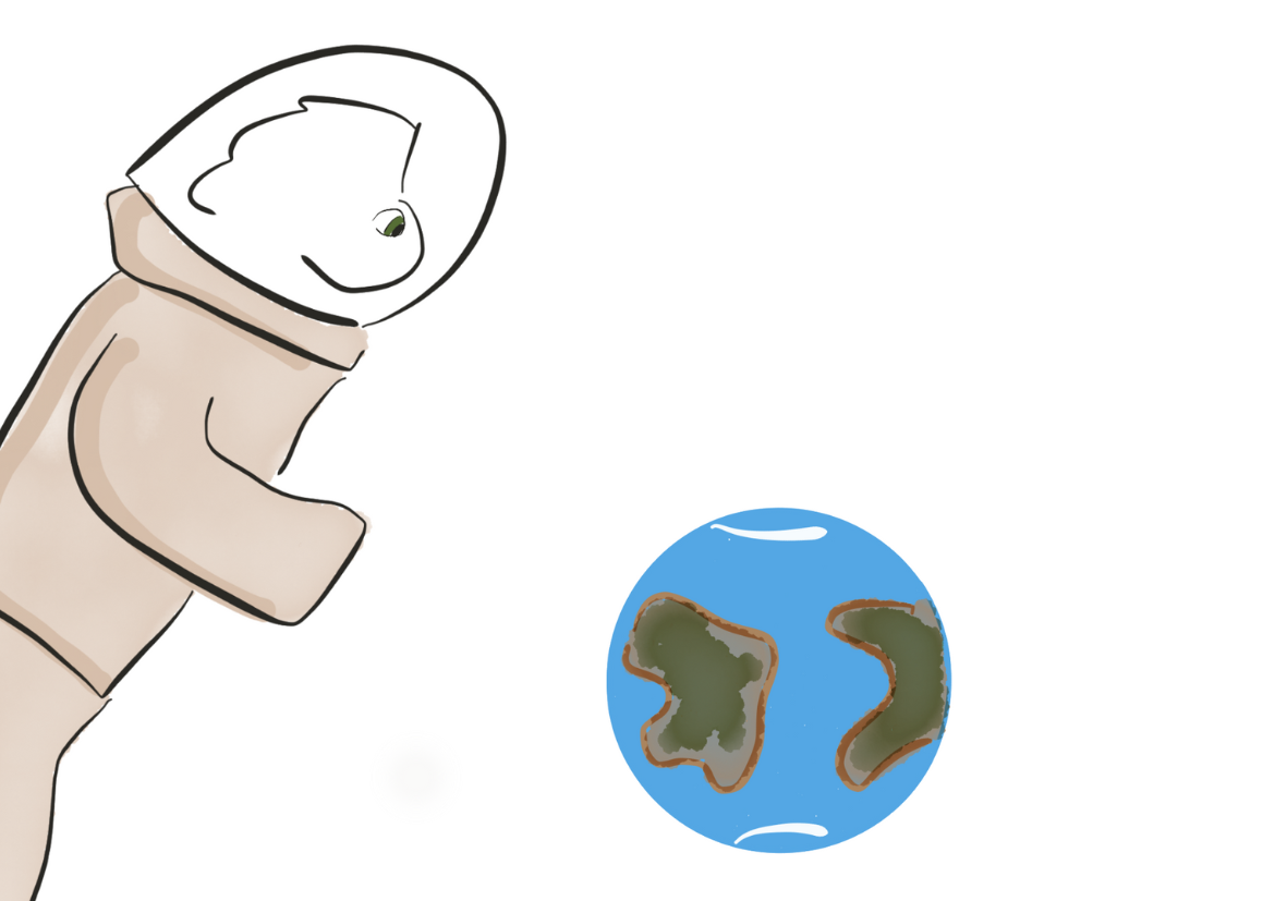 Stanje uma bebe, izvorni um