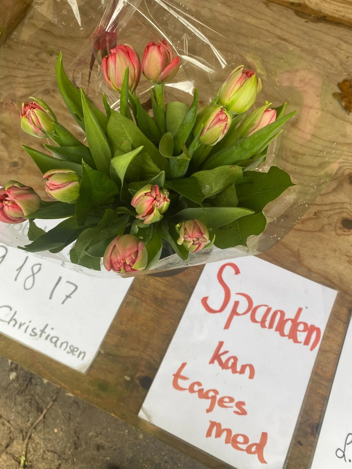 S&aring; sker det: de f&oslash;rste fynske tulipaner.