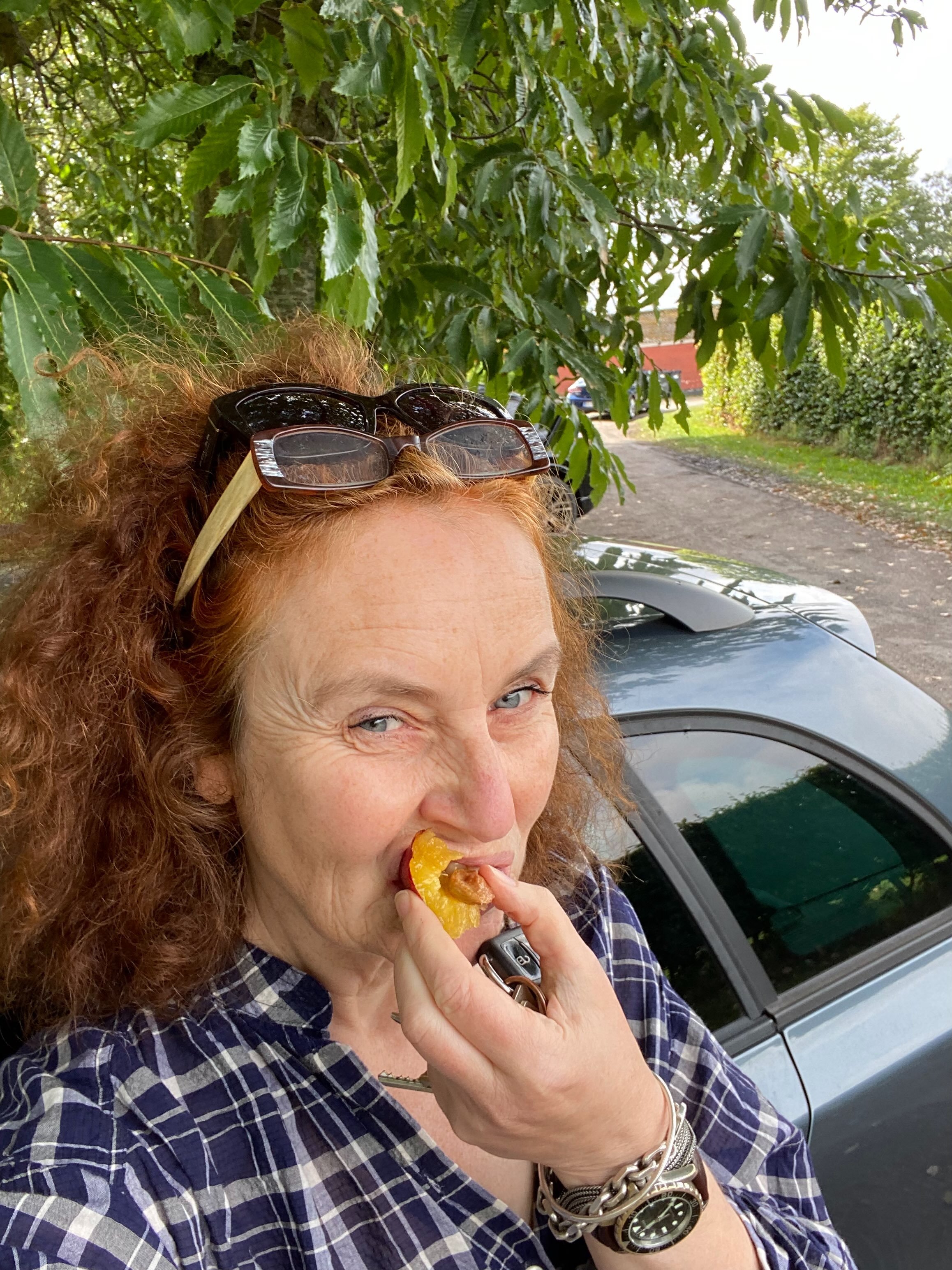 Det bugner, blomstrer og blommer langs landevejene. Der er fillippaer og clapps, s&aelig;sonen er kort og hvis vi ikke spiser dem i r&aring; m&aelig;ngder og med fryd lige nu, forsvinder de like a bottle of wine, som Taylor Swift synger om august.
He