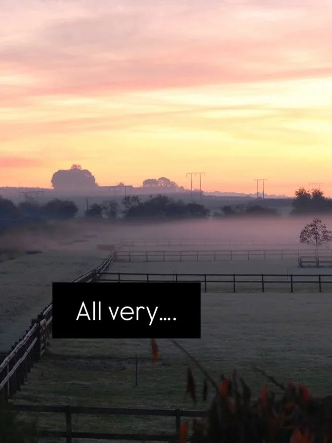 Horse and Rider weekend details incoming ❤️🙌 #pilates #horseandrider #biomechanics #weekendgetaway☀️