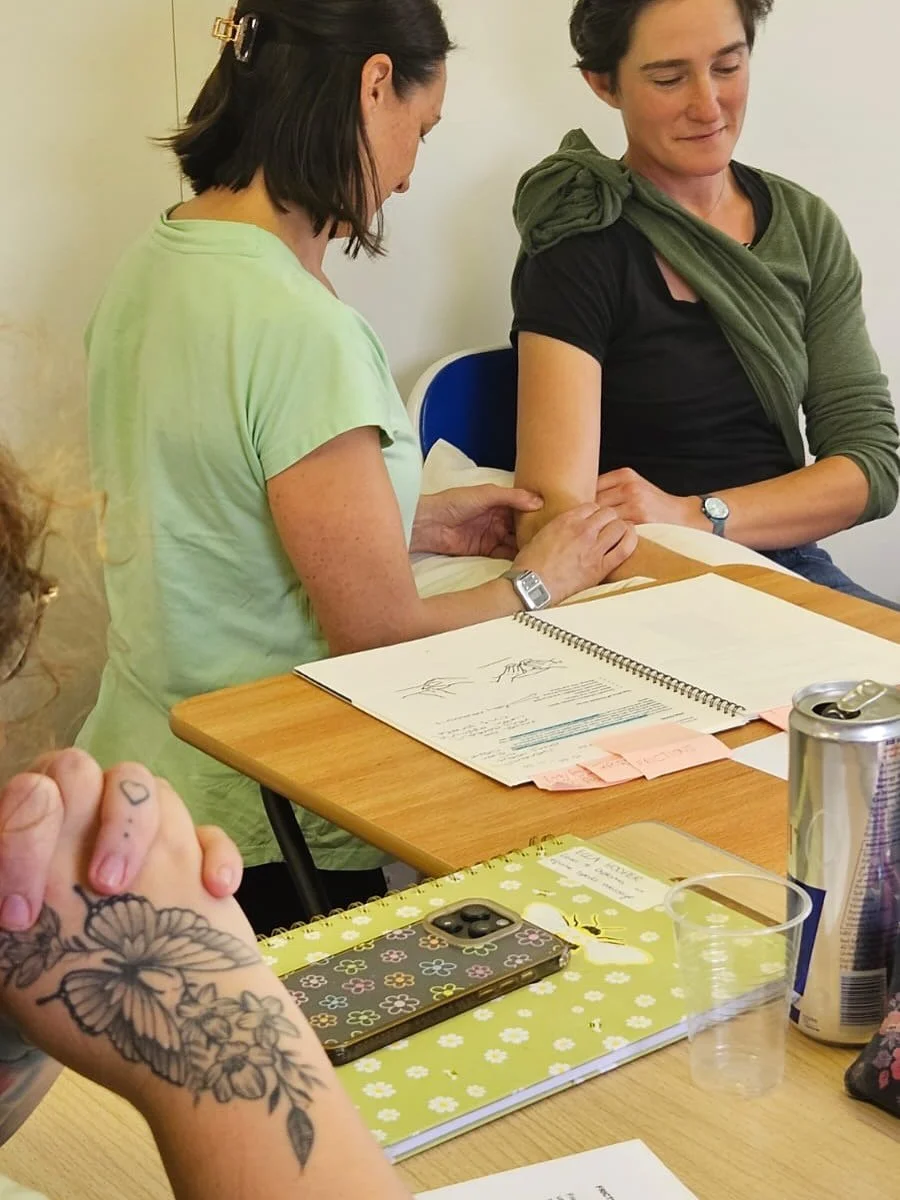 Great day teaching for @animaltherapysolutions Awesome first day for the new intake. Can&rsquo;t wait to see their skills develop over the next 8 months 🙌❤️ #equinesportsmassage #equinesportsmassagetherapy @equinesportsmassageassociation