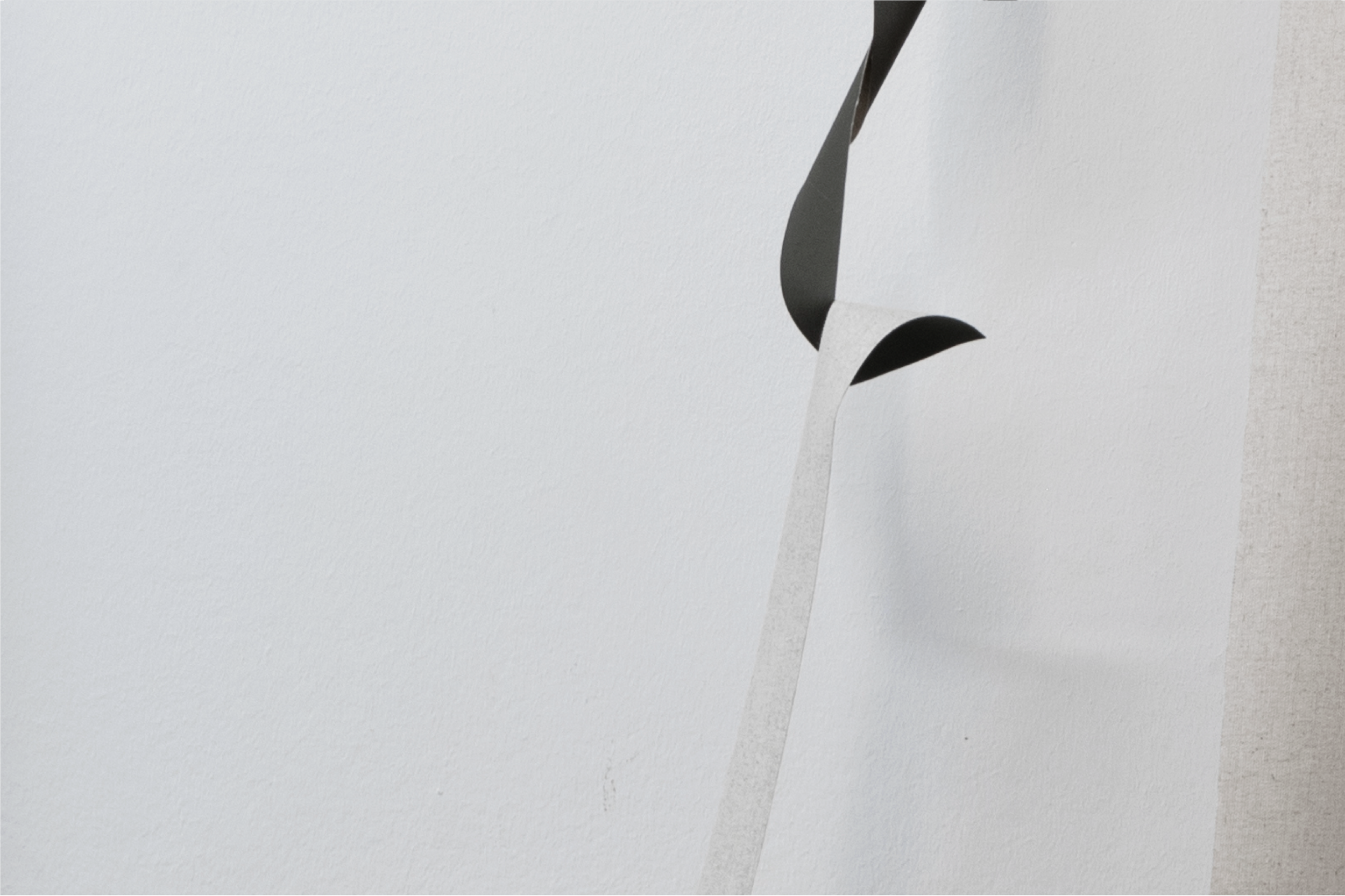 KOKA RAMISHVILI | VAKHTANG KOKIASHVILI