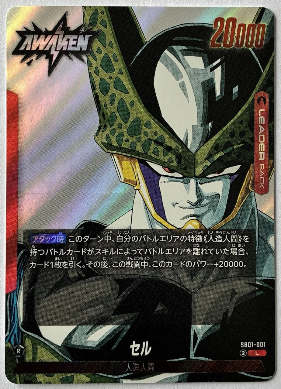 SB01-001 L Back.jpeg
