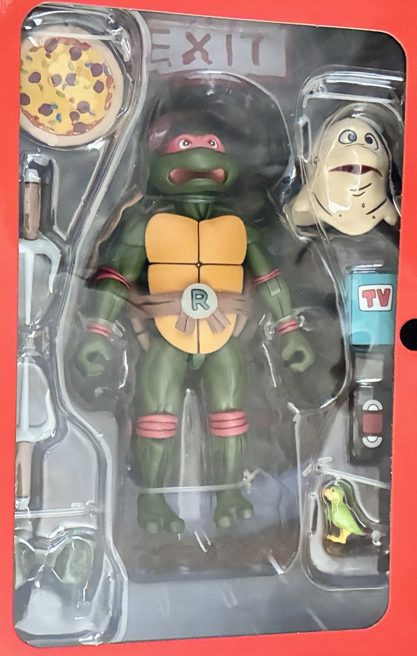 Raphael Open Zoom.jpeg