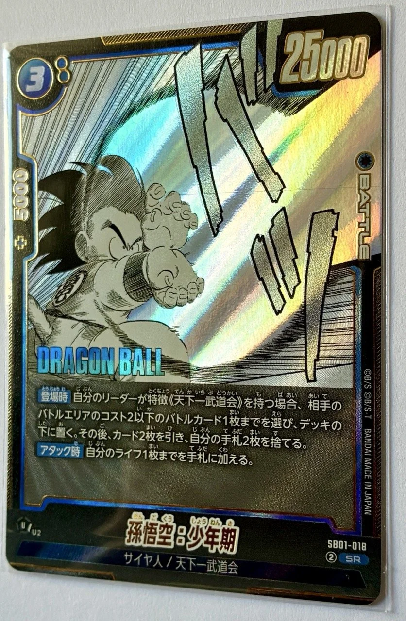 SB01-018 SR Zoom.jpeg