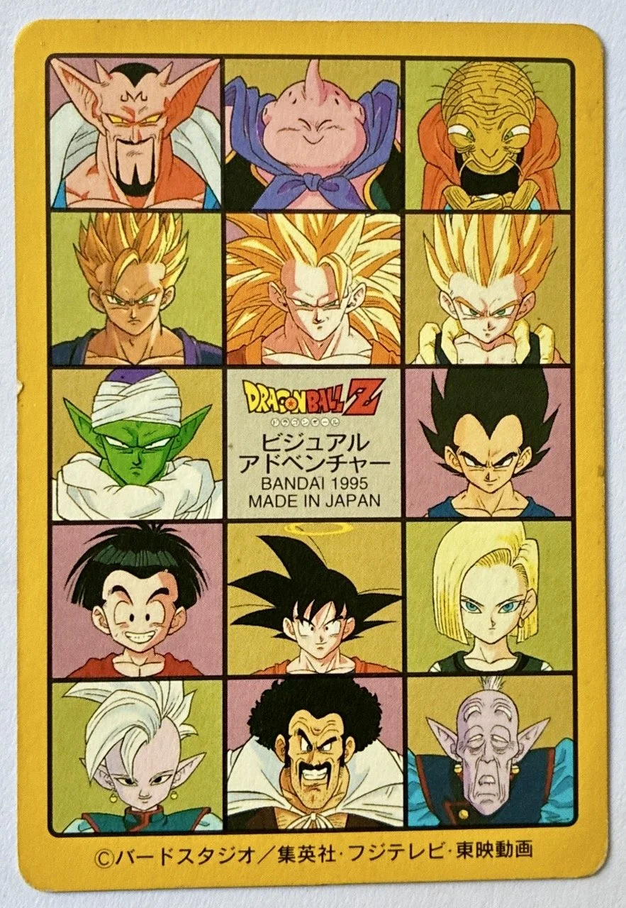 Visual Adventure Prism 253 Back.jpeg