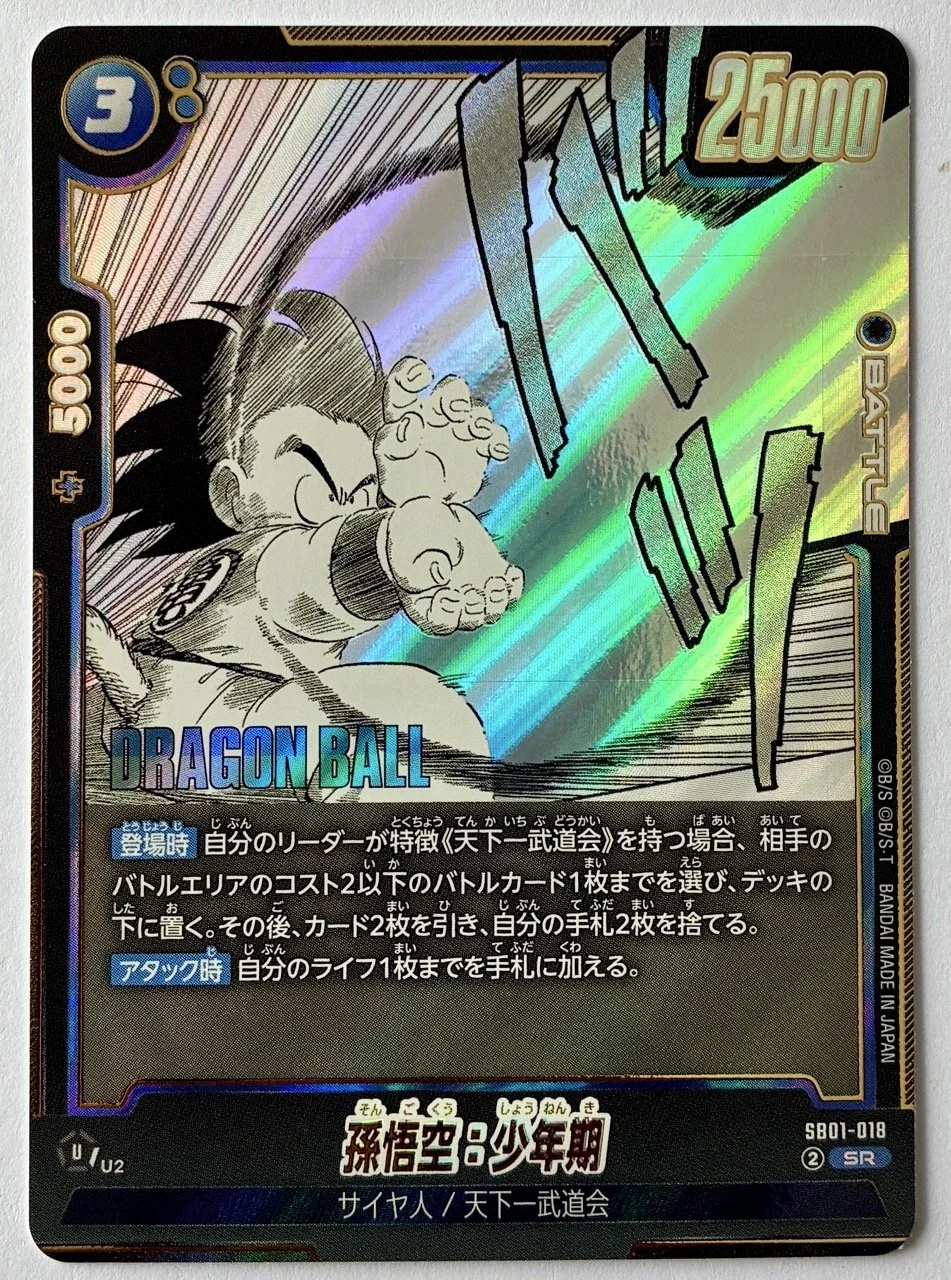 SB01-018 SR .jpeg
