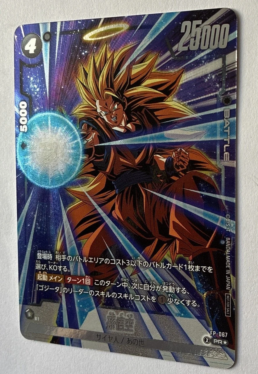 FP-067 PR* Zoom.jpeg