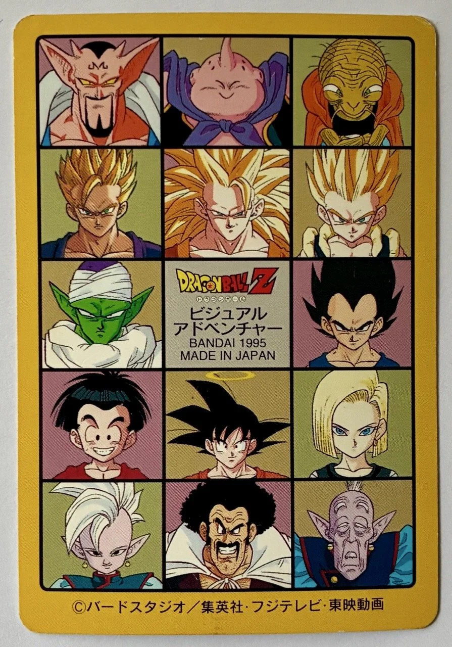 Visual Adventure 231 Back.jpeg