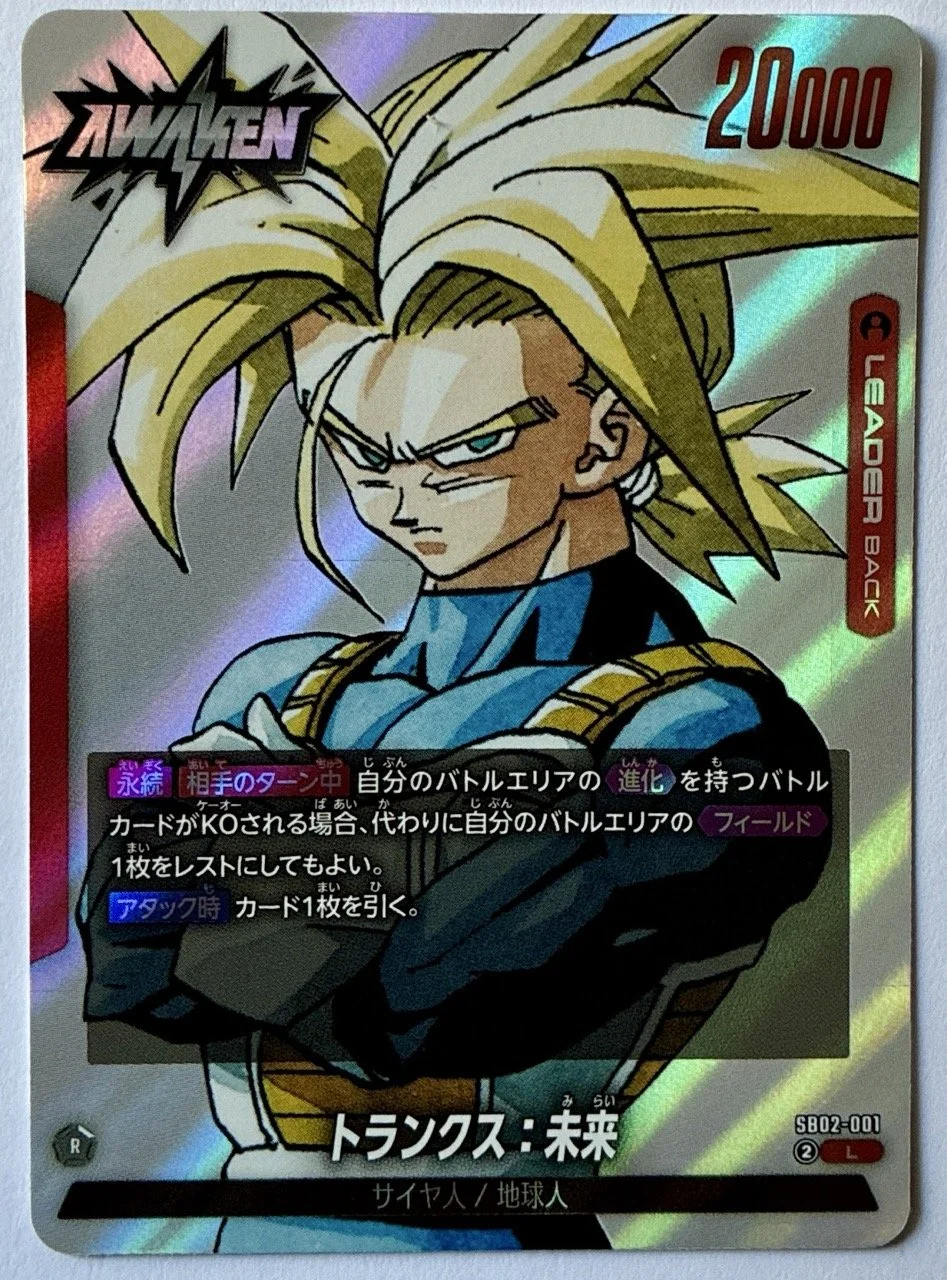 SB02-001 L Back.jpeg