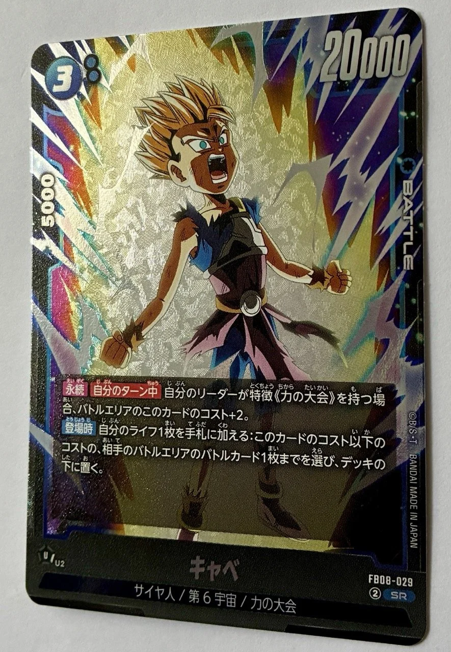 FB08-029 SR Zoom.jpeg