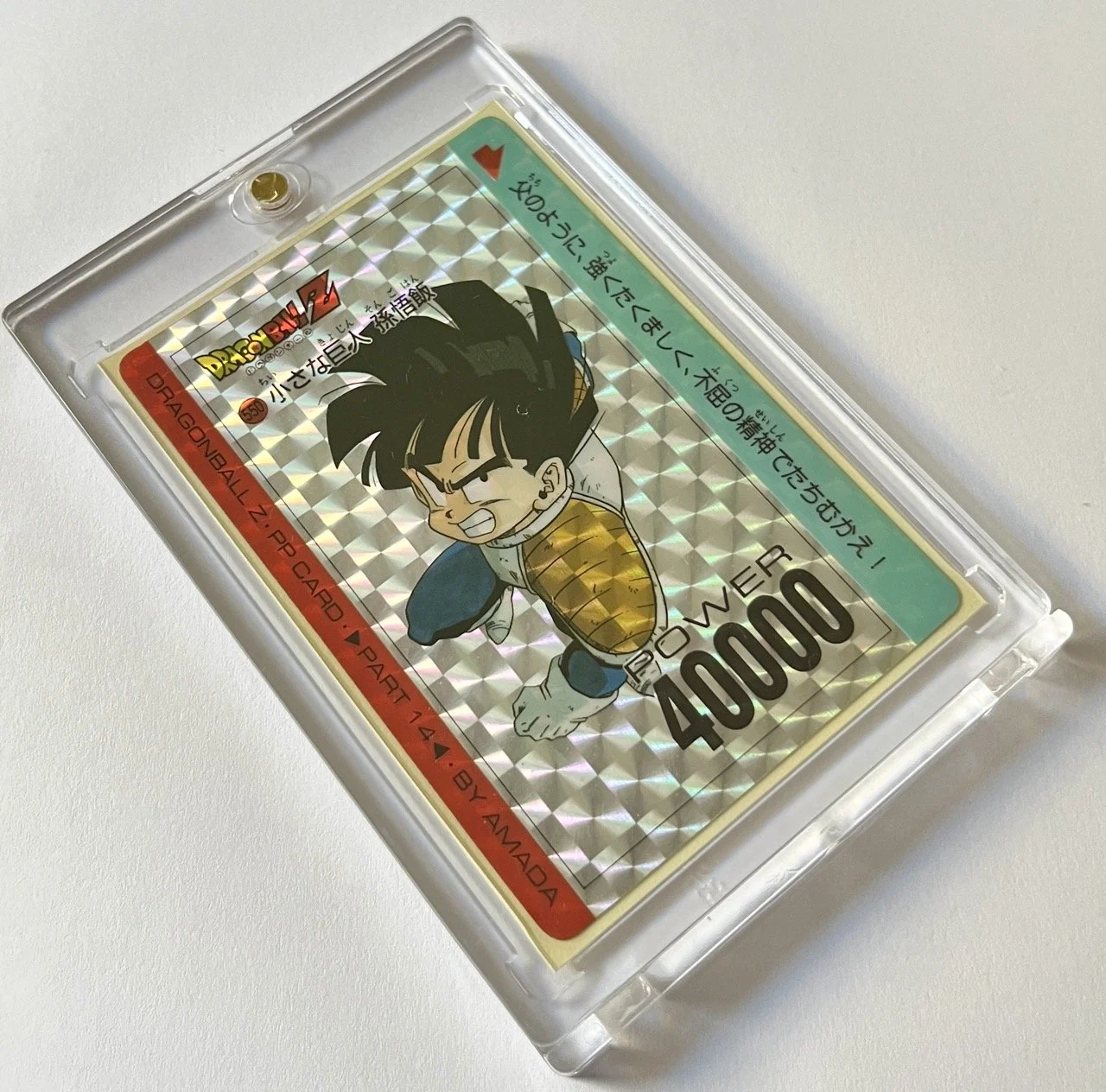 PP 550 Soft Box 2.jpeg