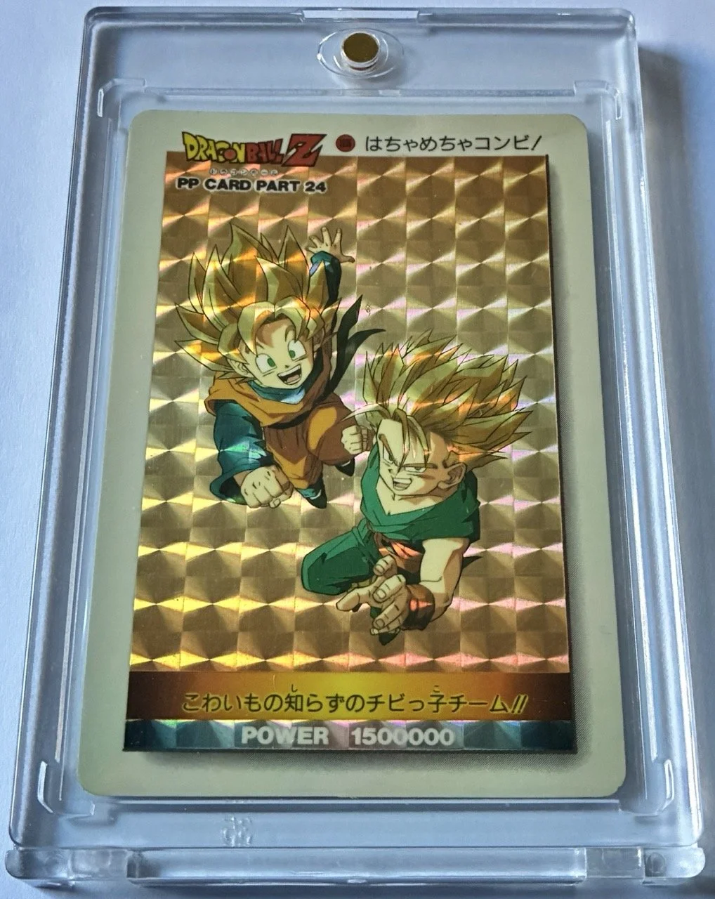 PP Soft 1036 Box 2.jpeg