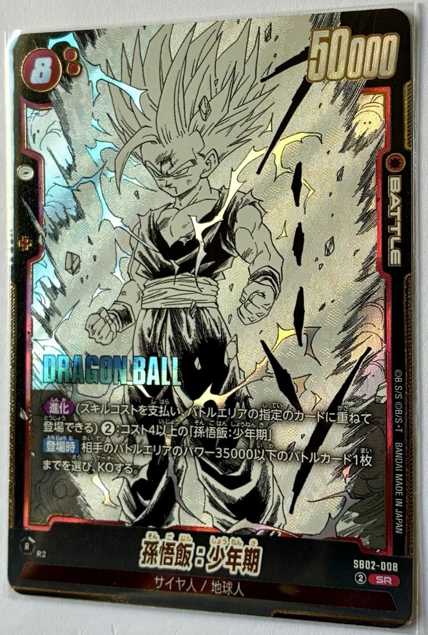 SB02-008 SR Zoom.jpeg