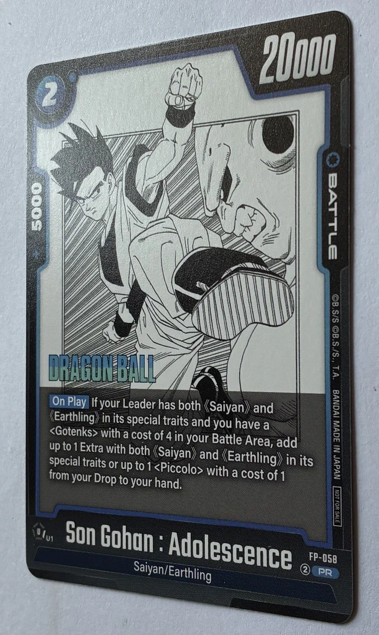 FP-058 PR ENG Zoom.jpeg