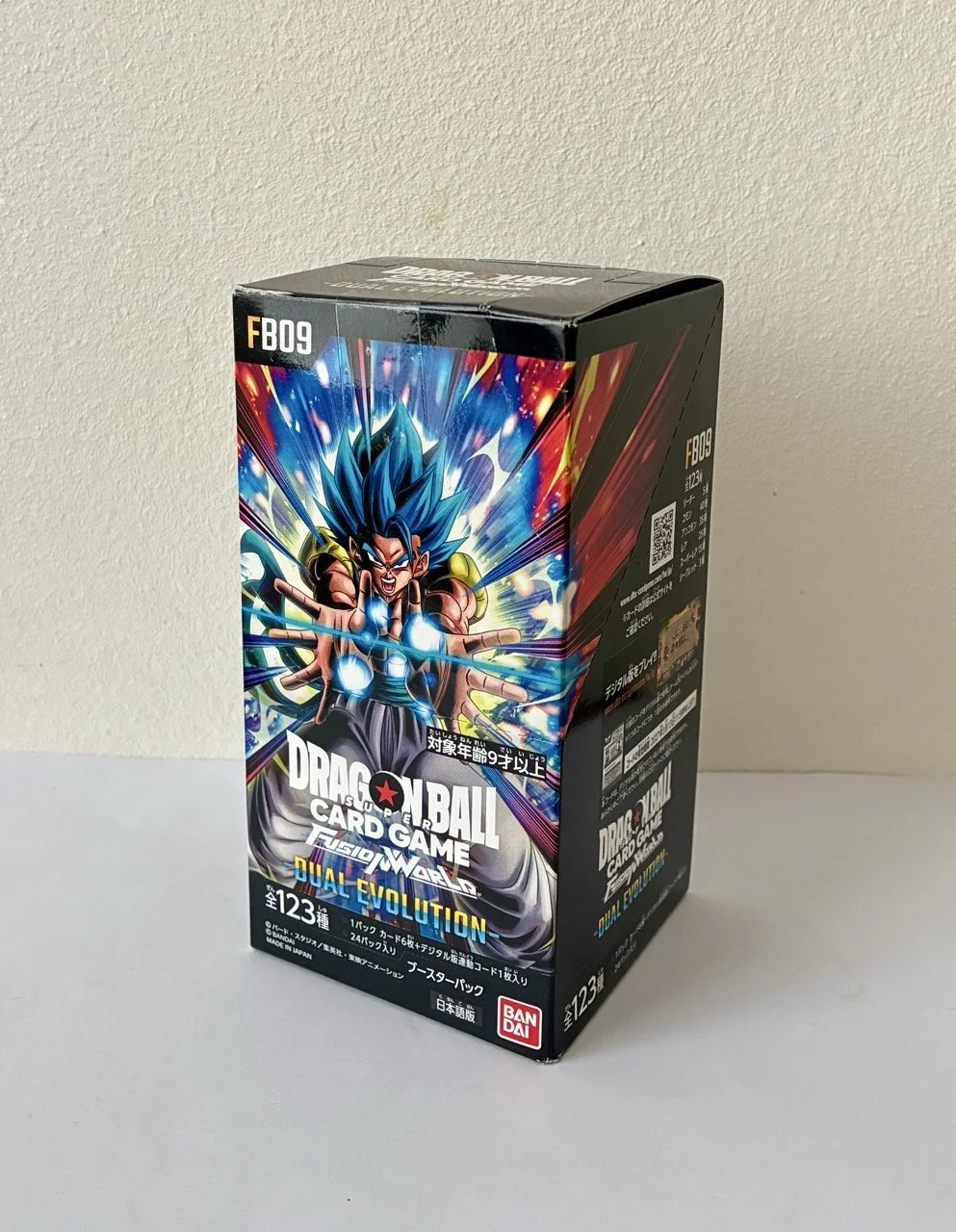 Display Booster Box FB09.jpeg