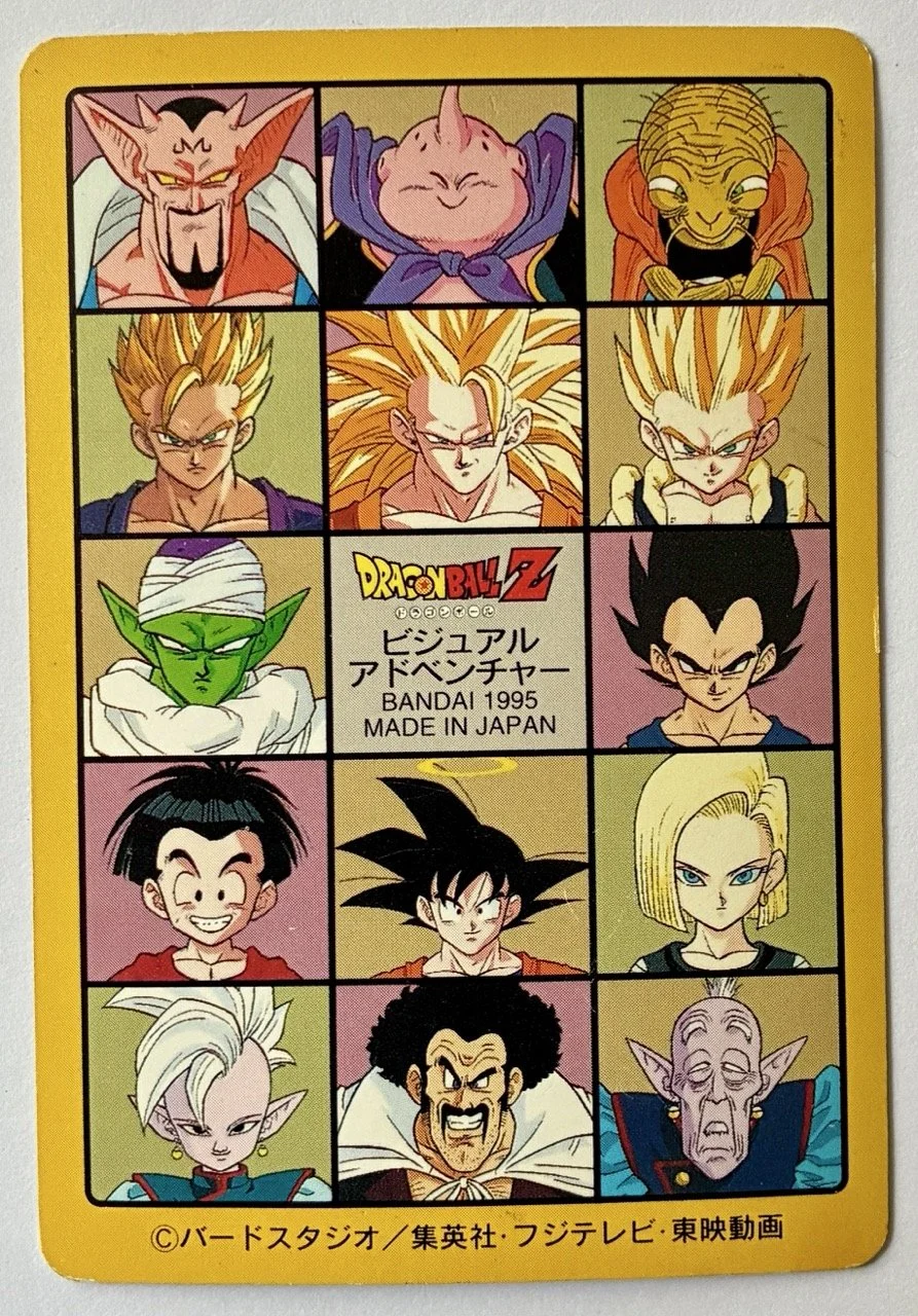 Visual Adventure 248 Back.jpeg