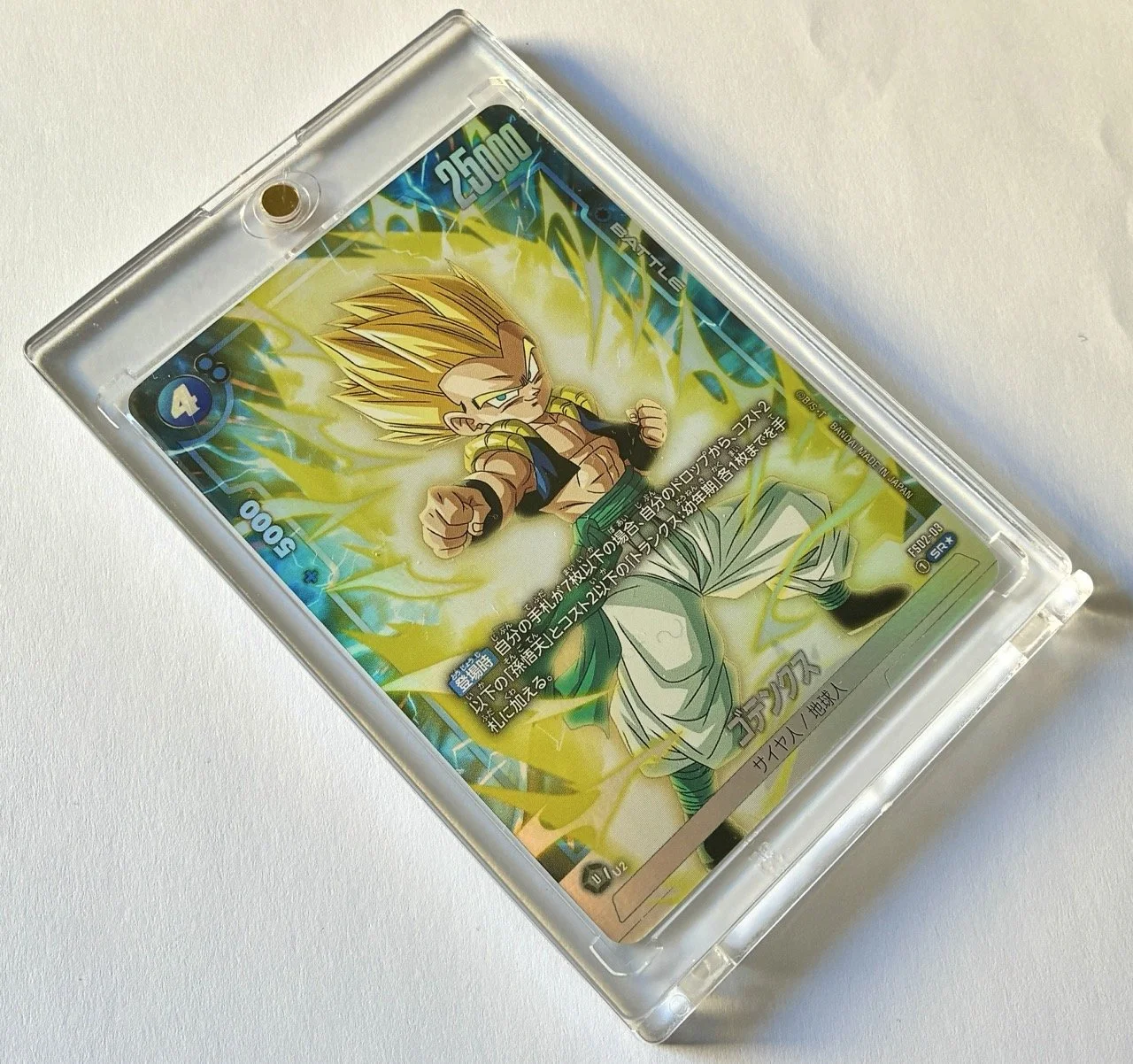 FS02-03 SR* Box 2.jpeg