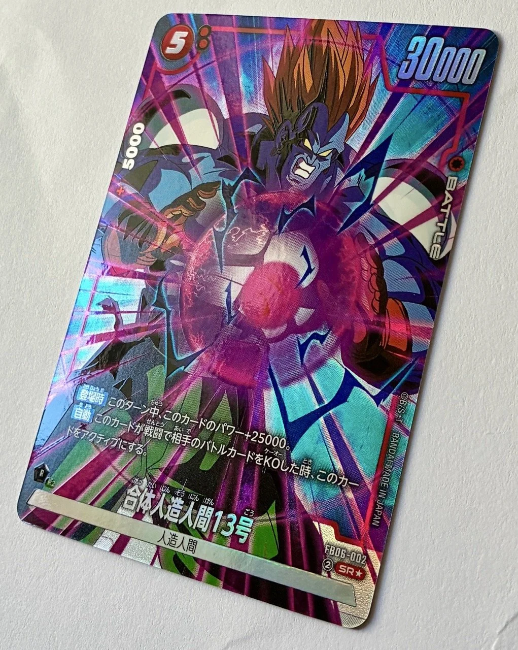 FB06-002 SR* Zoom.jpeg