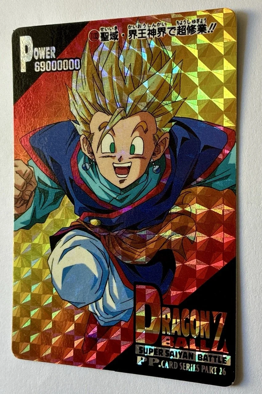 PP 1133 Hard Zoom.jpeg