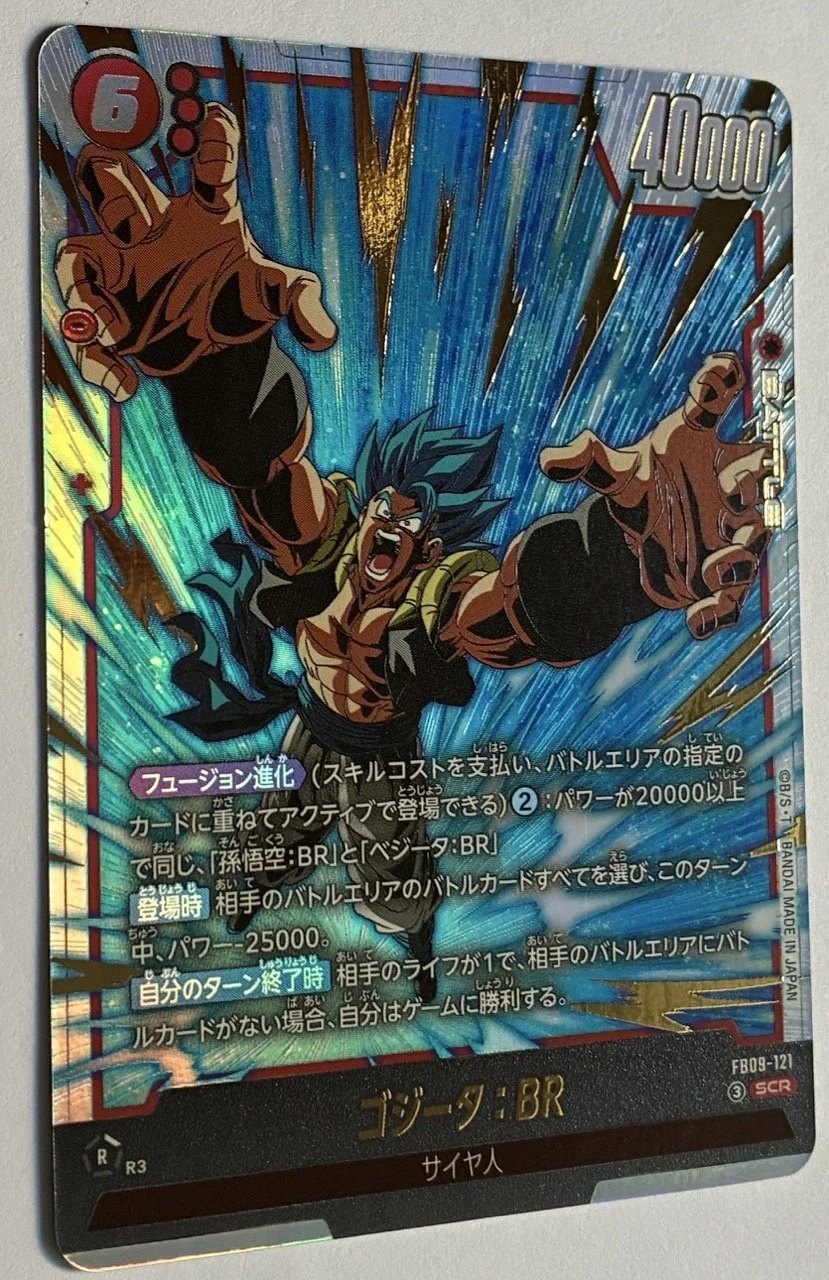 FB09-121 SCR Zoom 2.jpeg